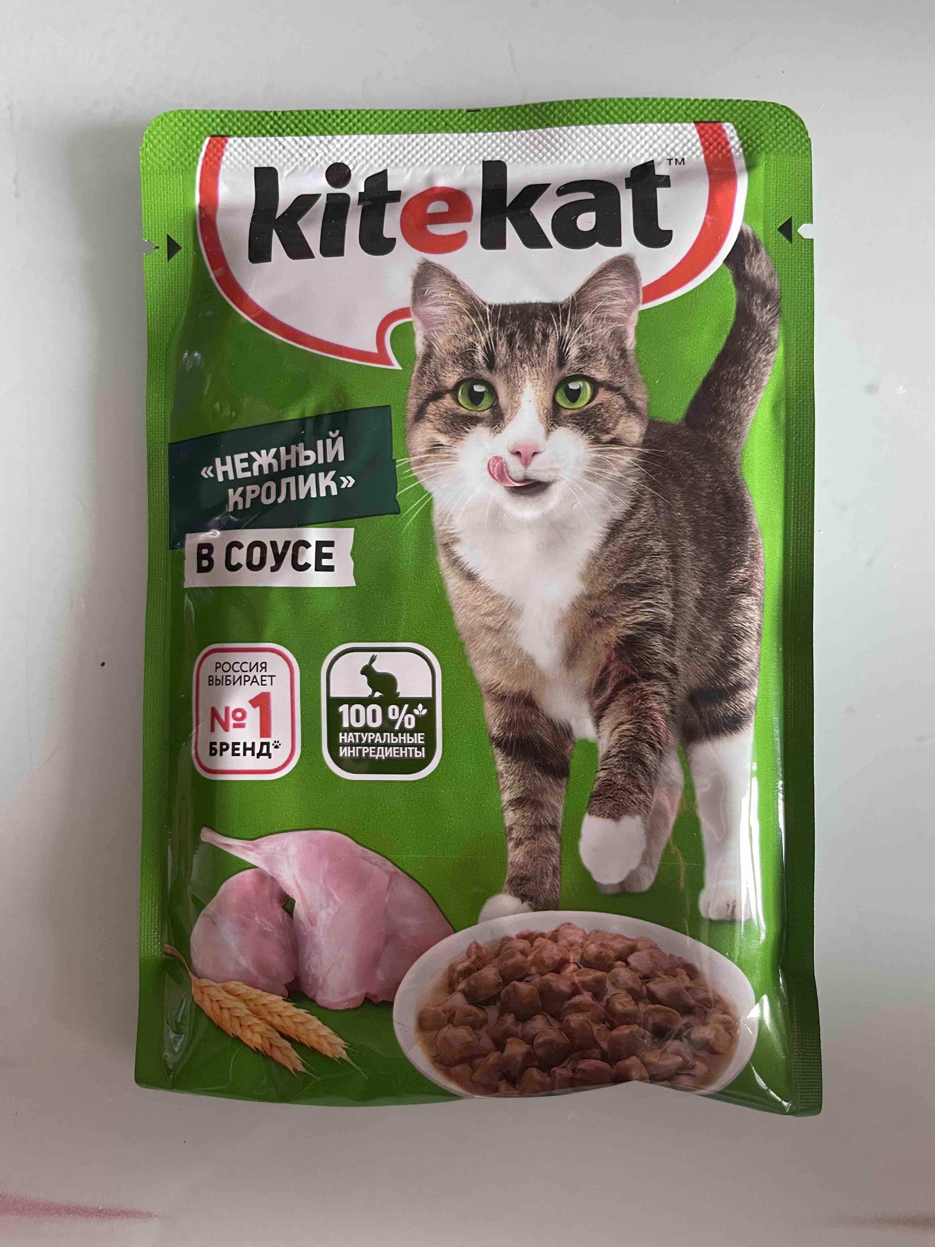 Влажный корм для кошек Kitekat нежный кролик, 28шт по 85г - отзывы  покупателей на Мегамаркет