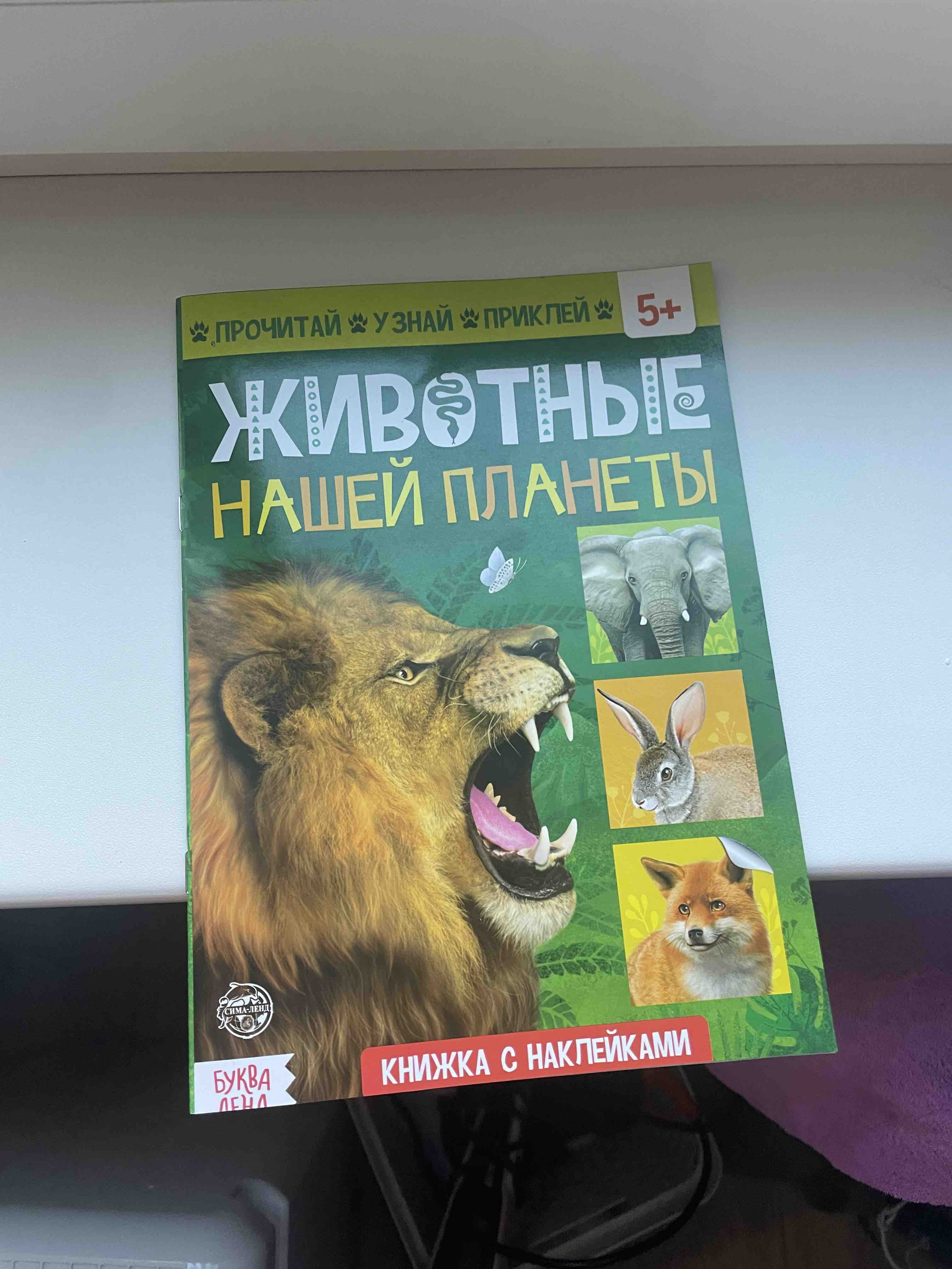 Активити книга с наклейками и игрушкой «Такие разные машины», 12 стр. –  купить в Москве, цены в интернет-магазинах на Мегамаркет