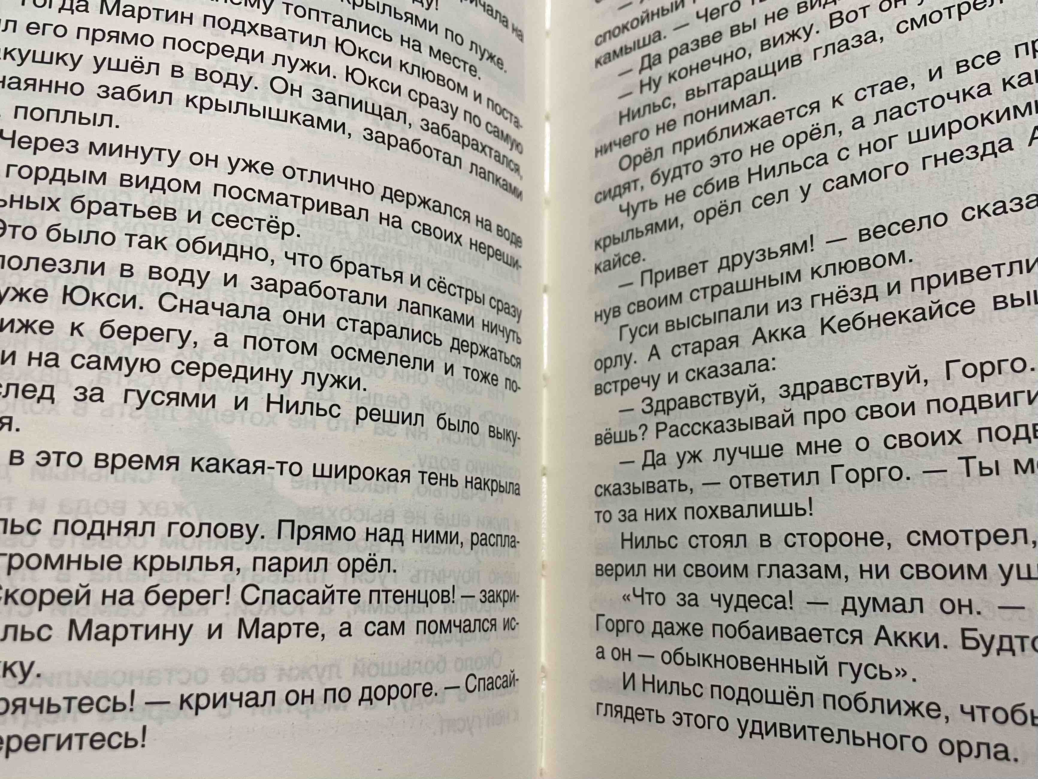 Чудесное путешествие Нильса с дикими гусями - отзывы покупателей на  маркетплейсе Мегамаркет | Артикул: 100022829671