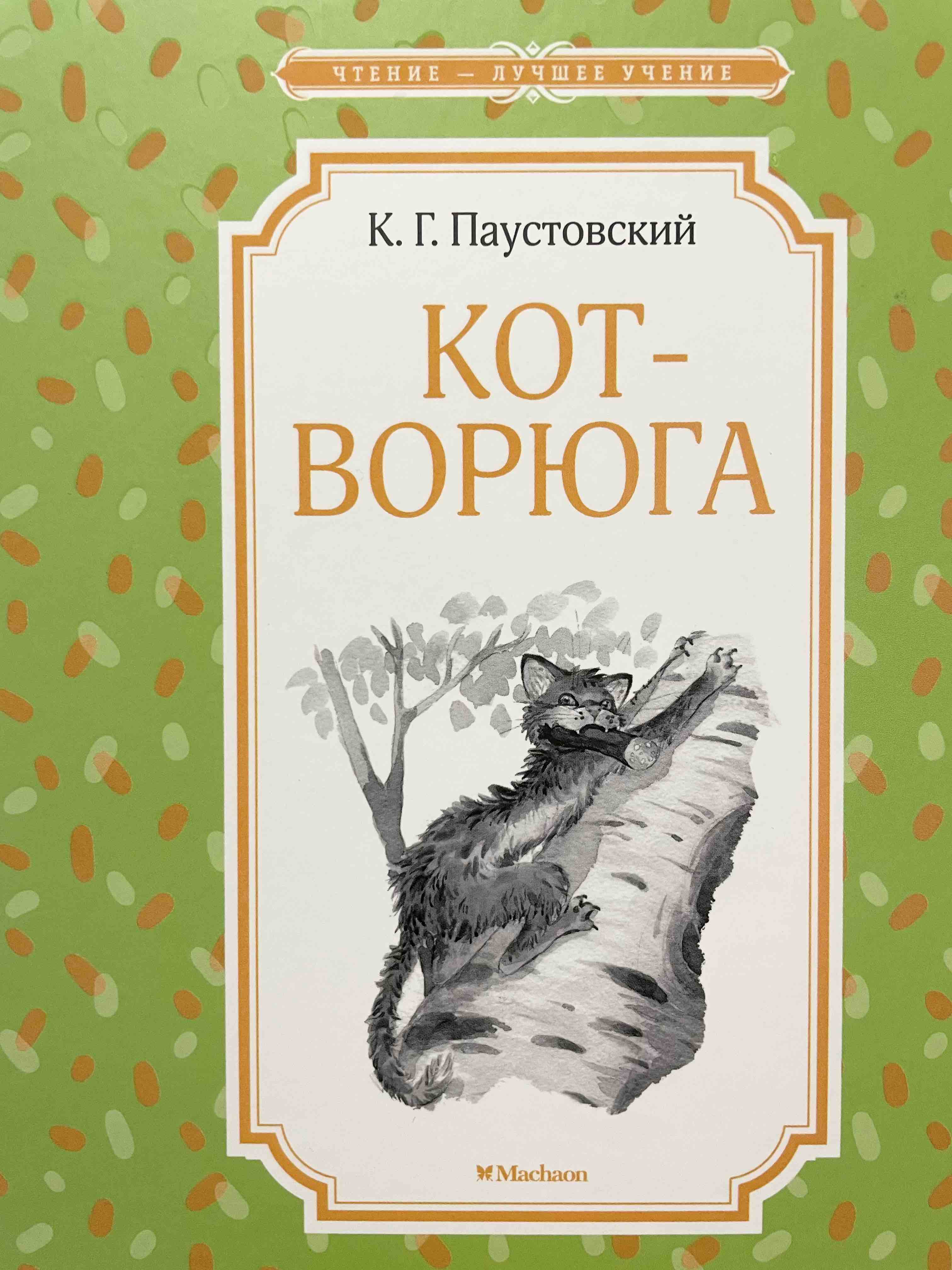 Кот ворюга паустовский читать