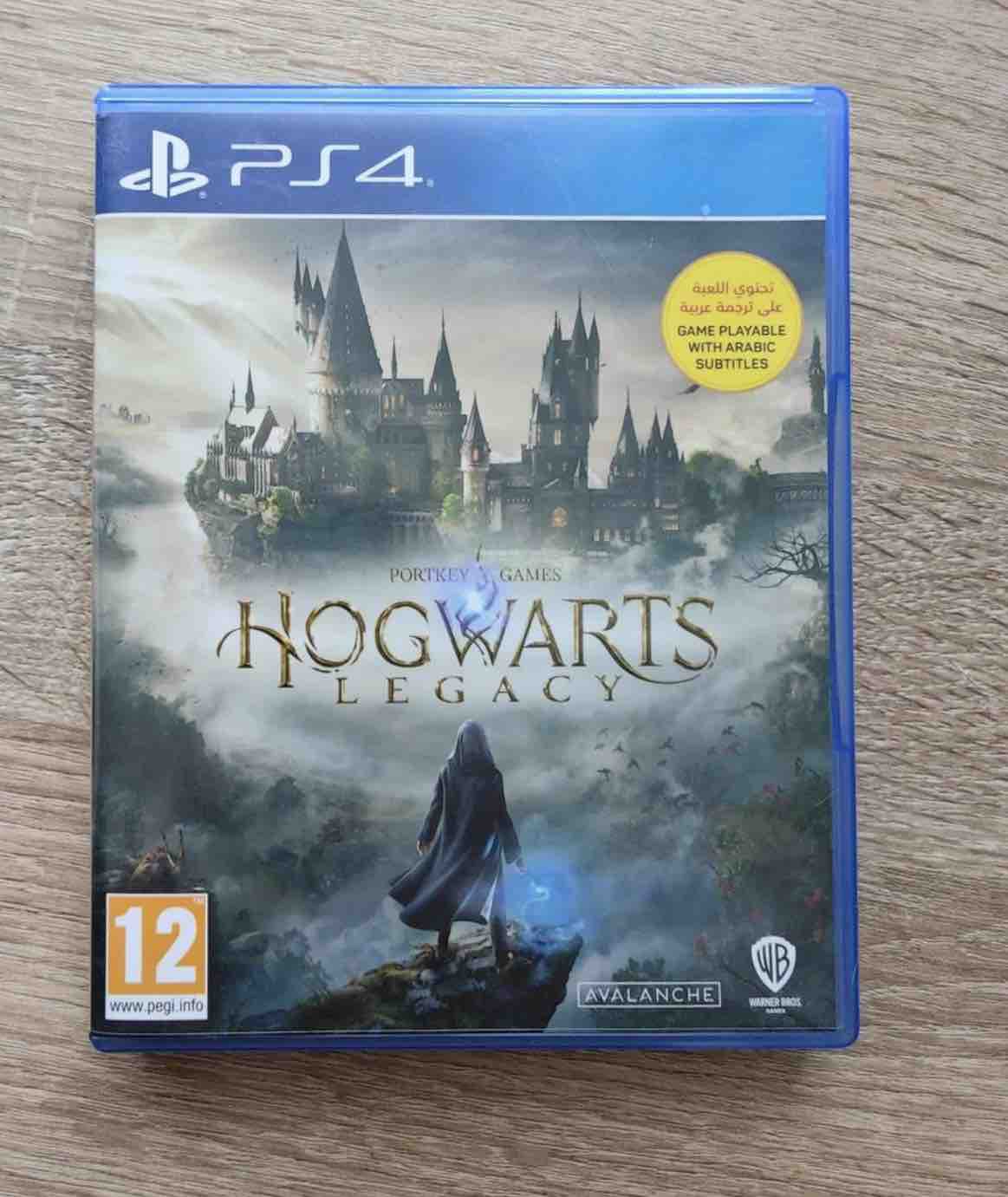 Игра Hogwarts Legacy (PS5) (PlayStation 5, Русские субтитры