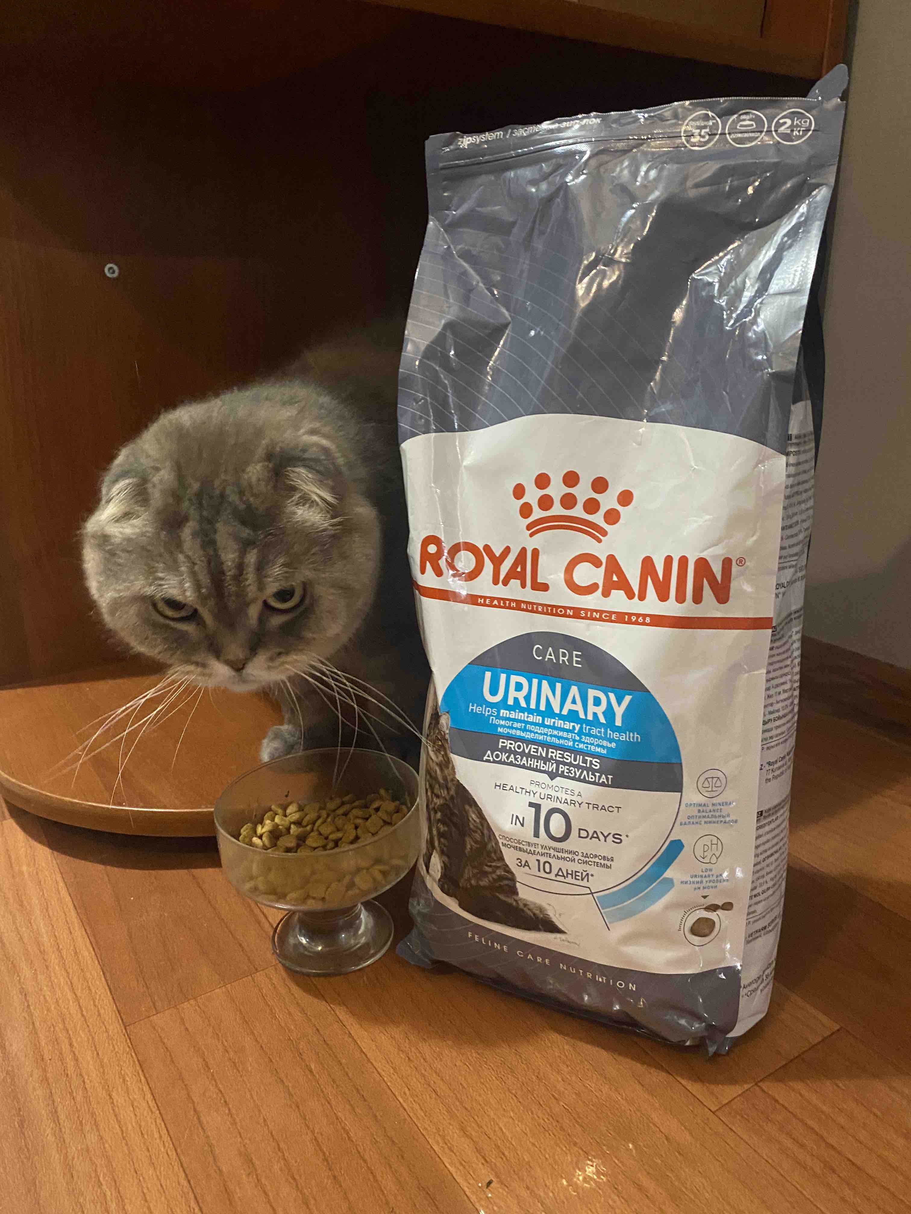 Royal canin urinary 2024 dry cat food