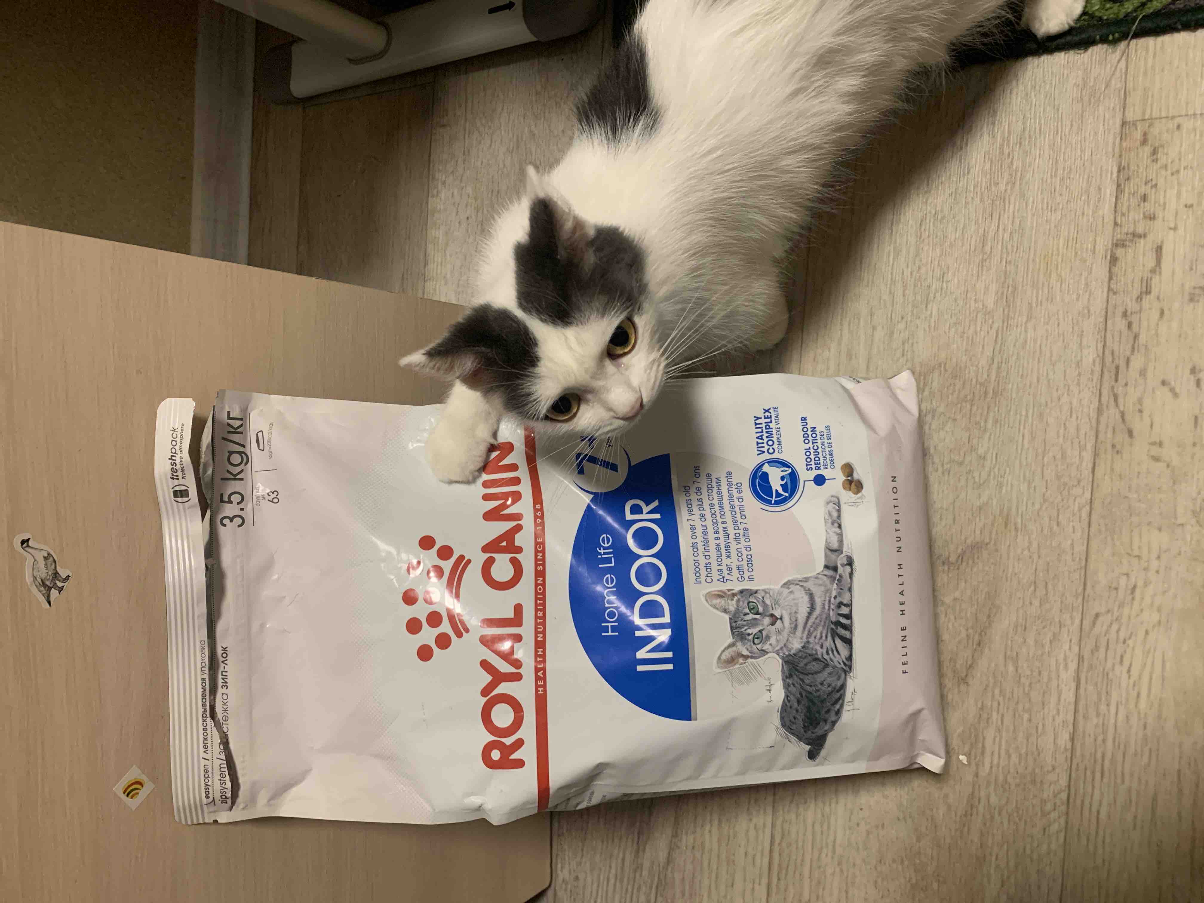 Купить сухой корм для кошек ROYAL CANIN Home Life Indoor 7+, для домашних  старше 7 лет, 3,5кг, цены на Мегамаркет | Артикул: 100001284493