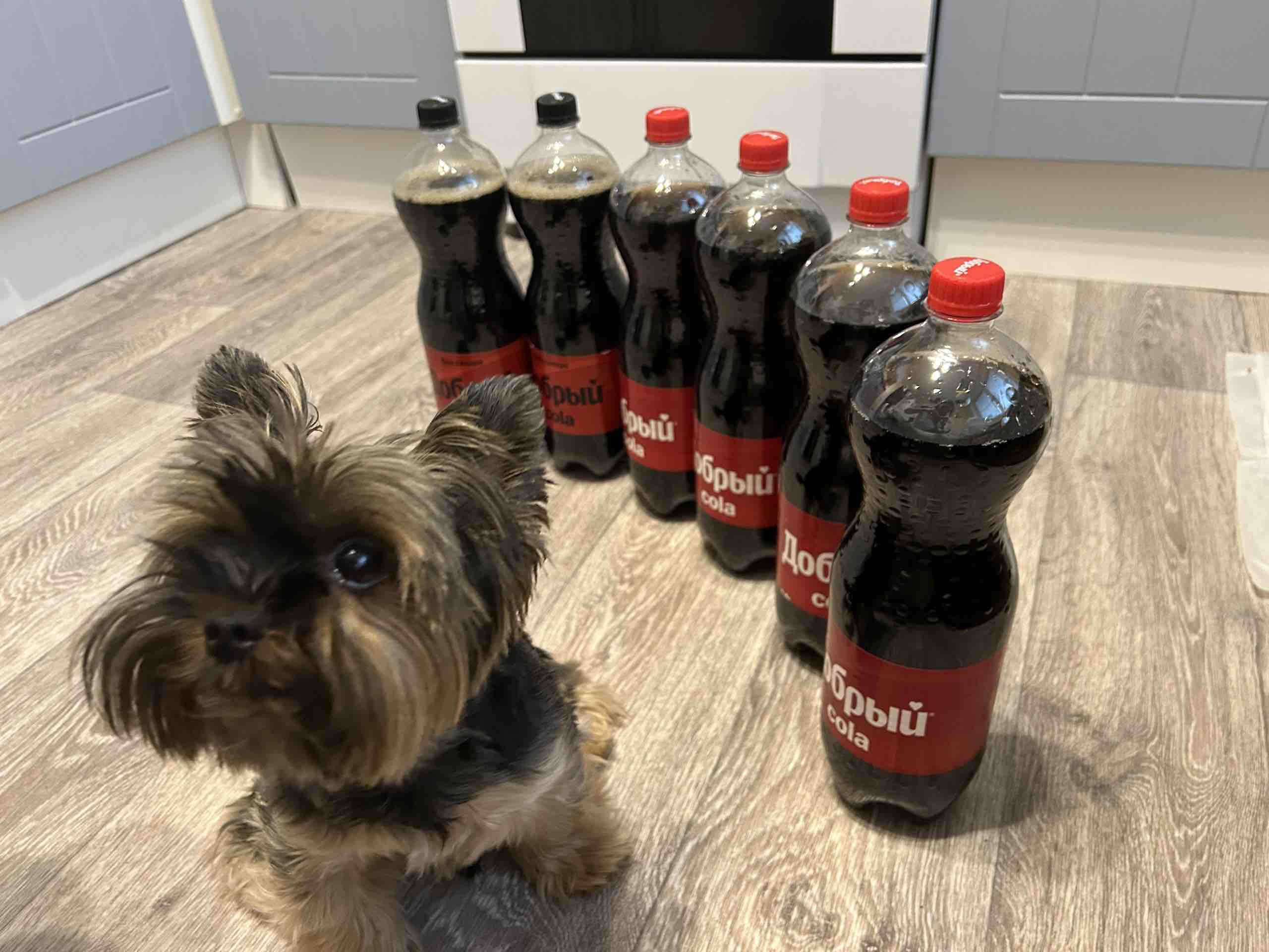 Напиток Добрый Cola газированный, без сахара, 1,5 л - отзывы покупателей на  маркетплейсе Мегамаркет | Артикул: 100048830398