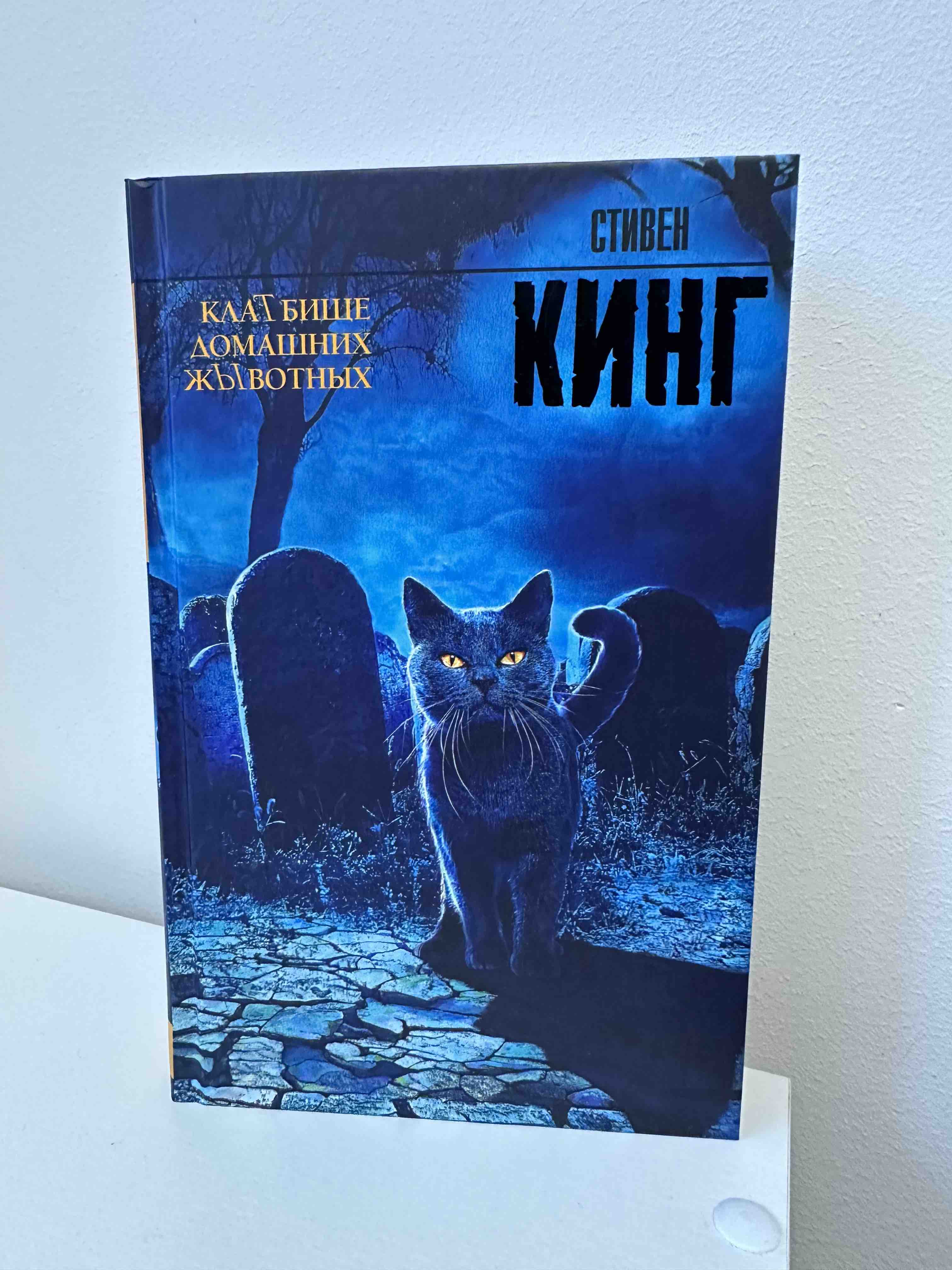 Книга Кладбище домашних животных - купить современной литературы в  интернет-магазинах, цены на Мегамаркет | 277874