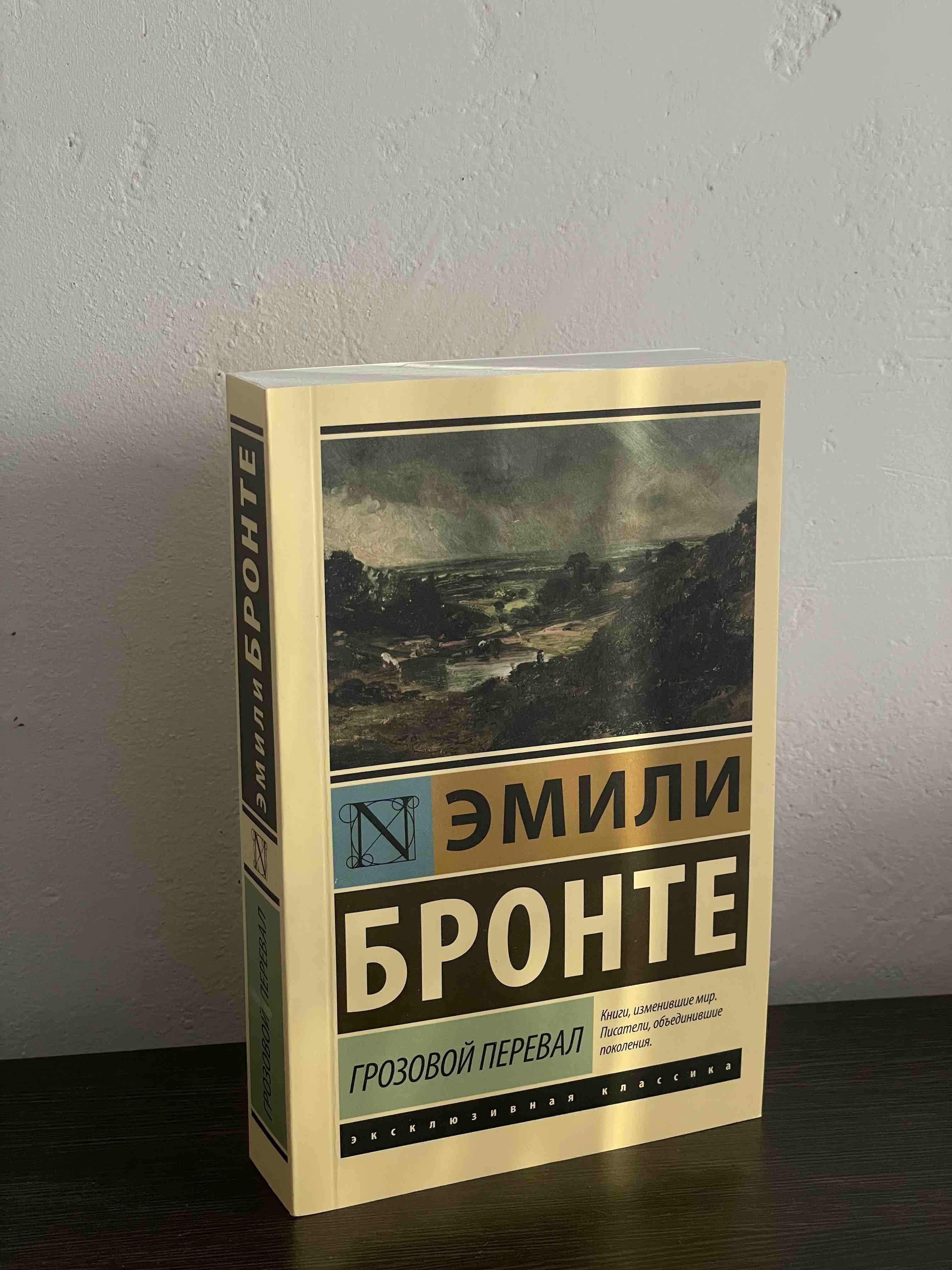 Книга Грозовой перевал - отзывы покупателей на маркетплейсе Мегамаркет |  Артикул: 100027665308