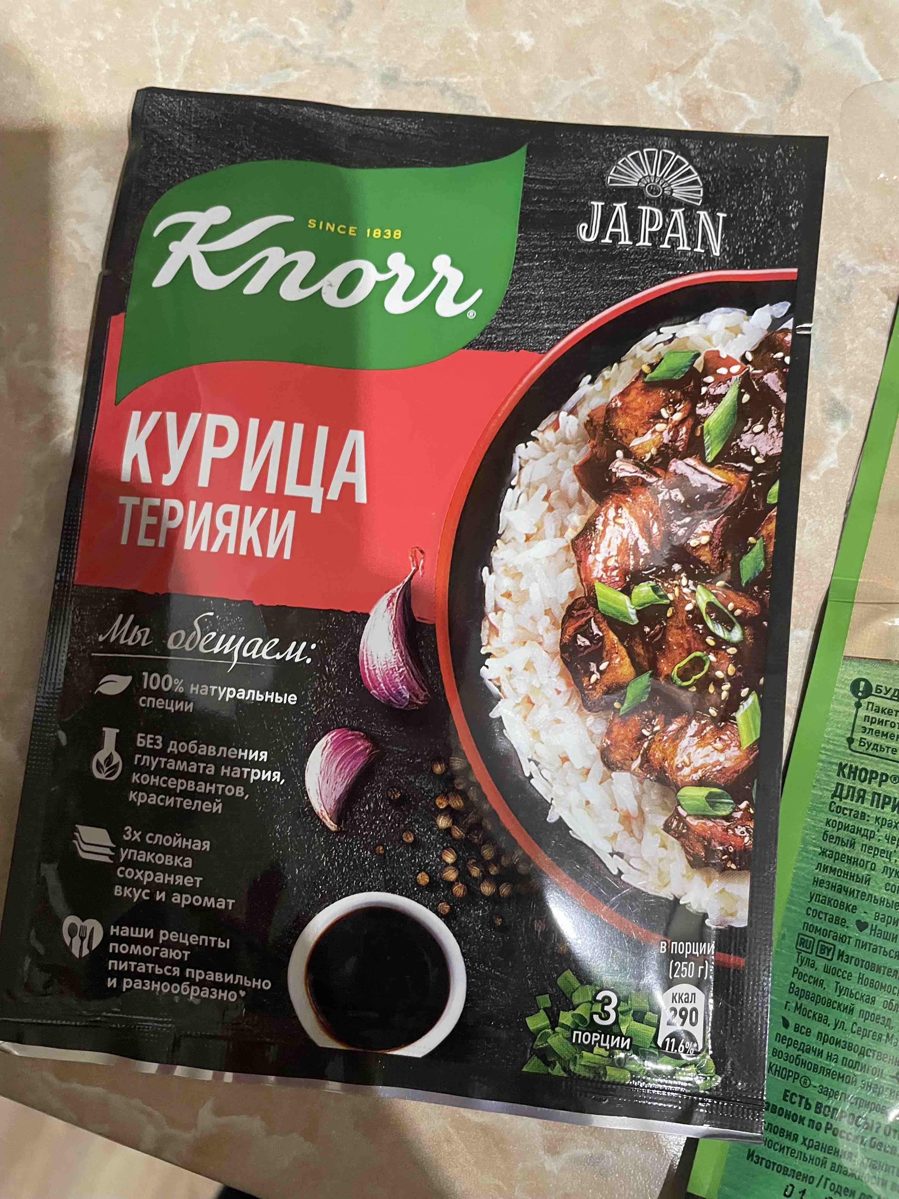 Приправа Knorr Курица терияки 28 г - отзывы покупателей на маркетплейсе  Мегамаркет | Артикул: 100028431201