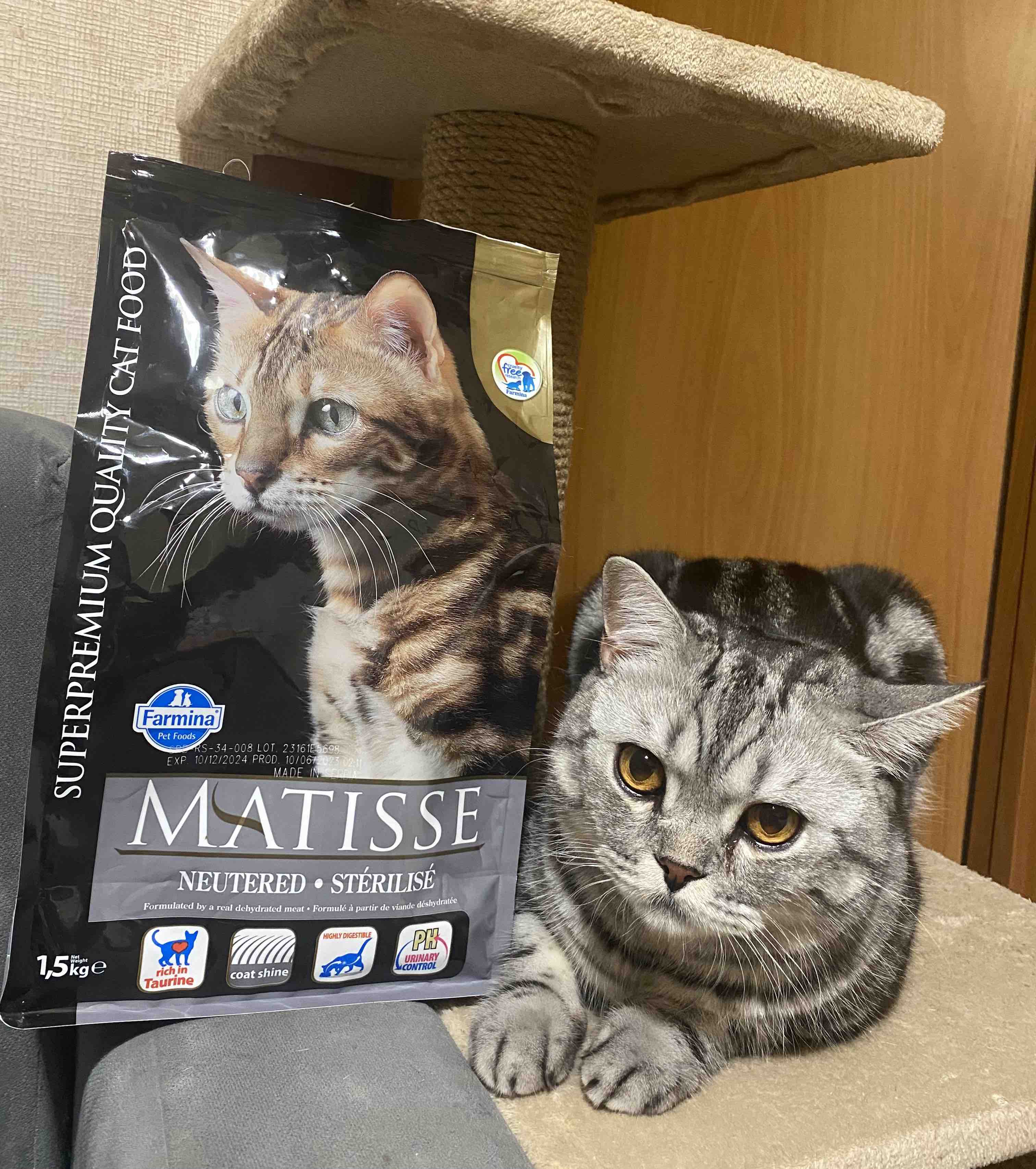 Сухой корм для кошек Farmina Matisse Neutered, для стерилизованных, курица,  20кг - отзывы покупателей на маркетплейсе Мегамаркет | Артикул  товара:100001286196