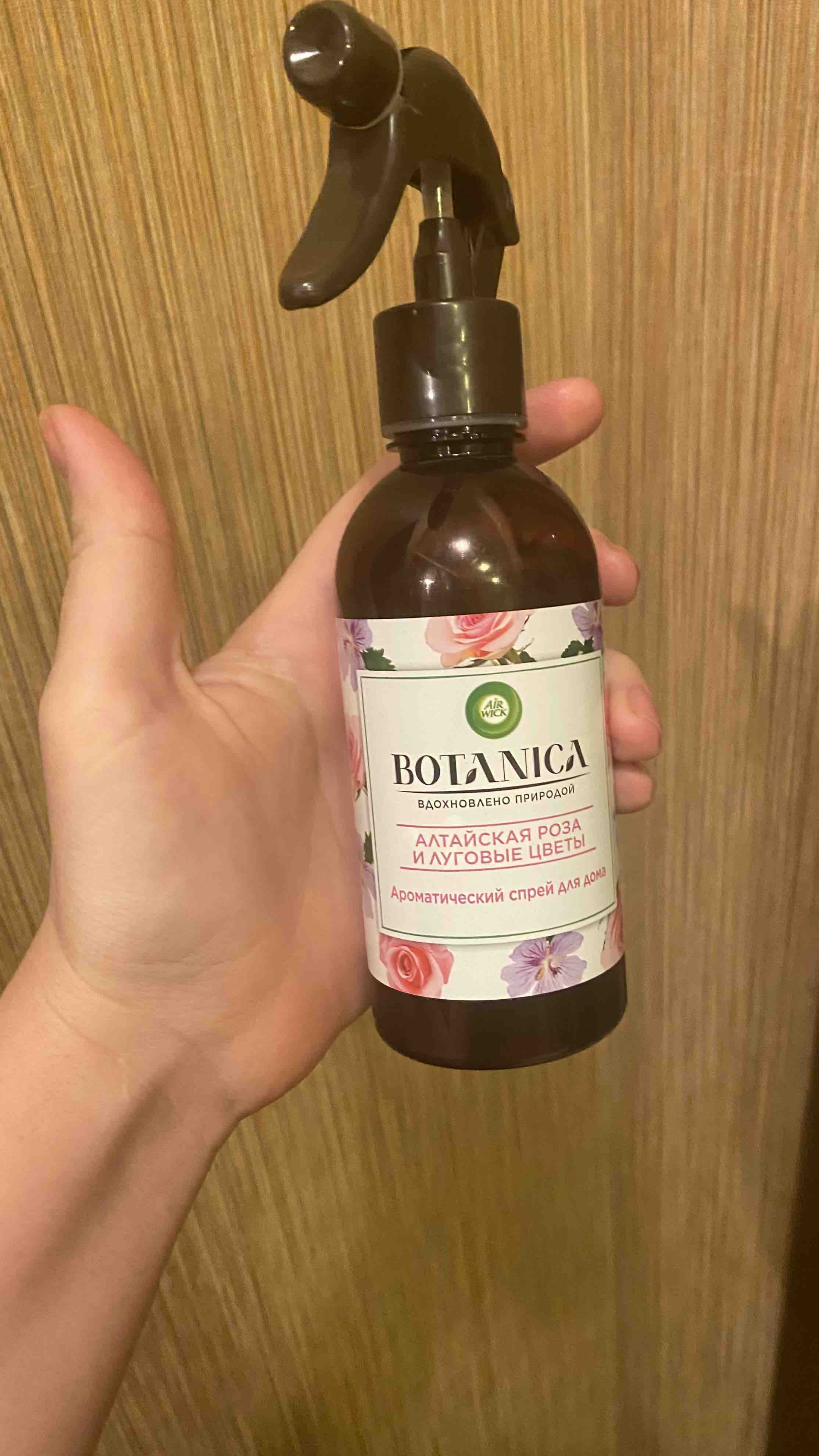 Ароматический спрей Air Wick Botanica Алтайская роза и луговые цветы 236мл  - отзывы покупателей на Мегамаркет | 100028022463