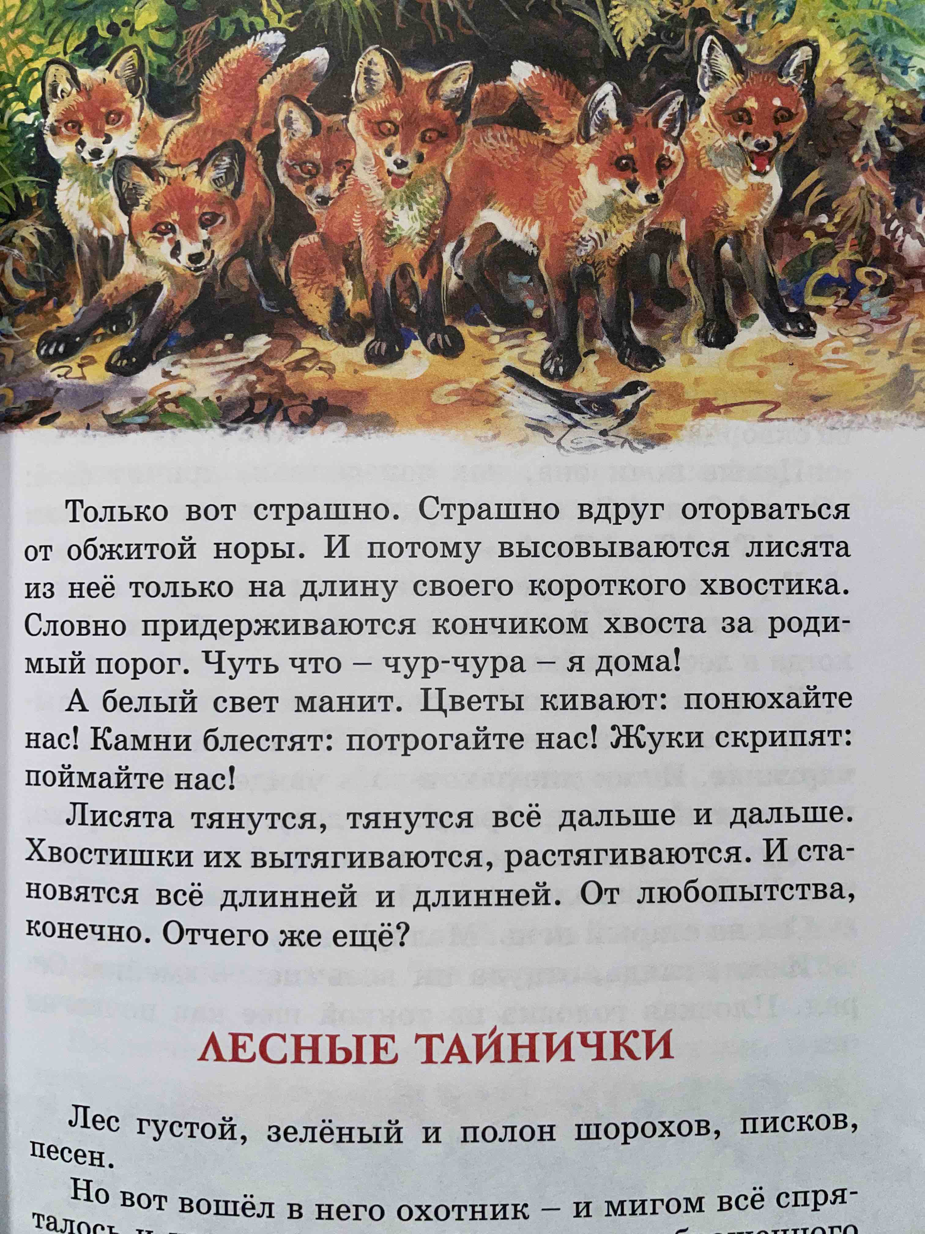 Приключения Стремянки и Макаронины – купить в Москве, цены в  интернет-магазинах на Мегамаркет