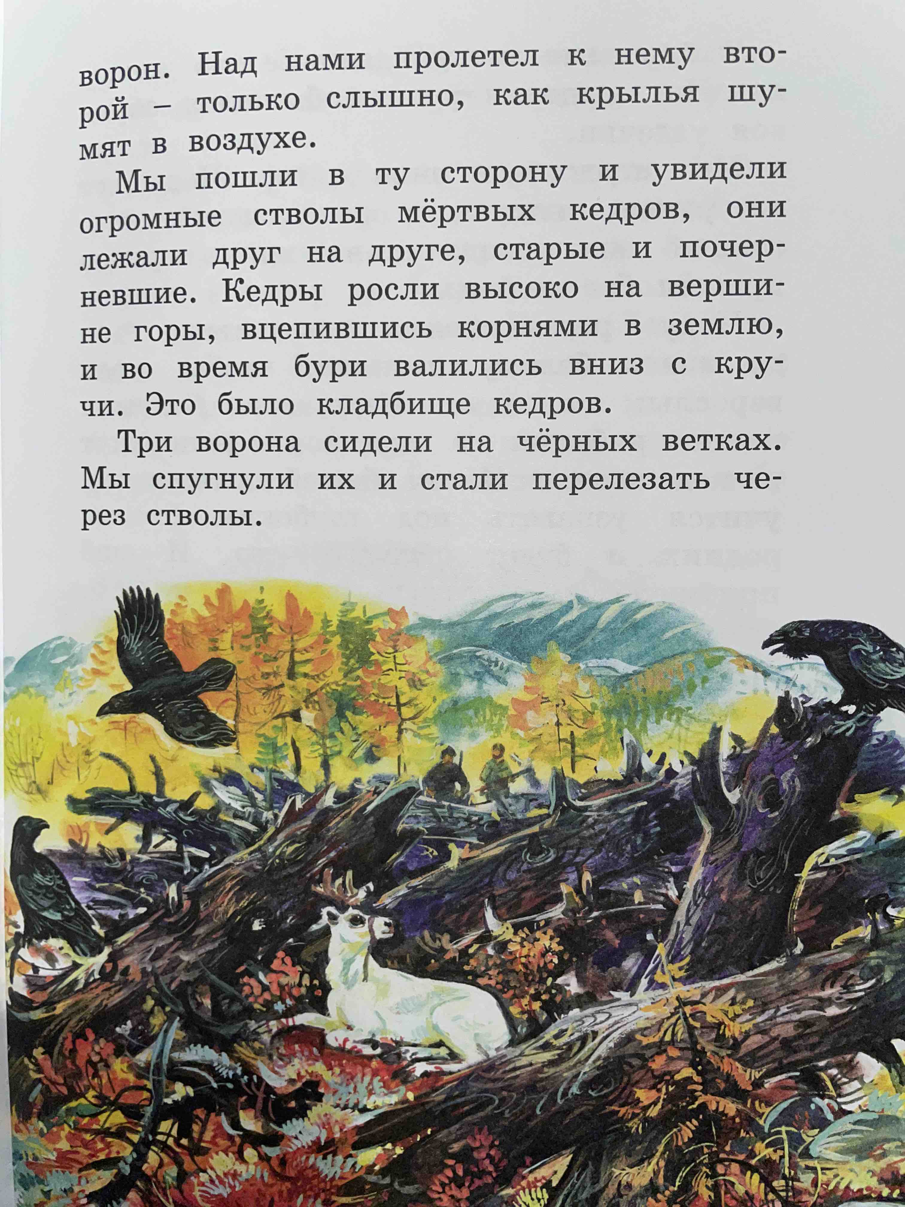 Книга Доктор Айболит (илл. В. Челака) - отзывы покупателей на маркетплейсе  Мегамаркет | Артикул: 600003907250