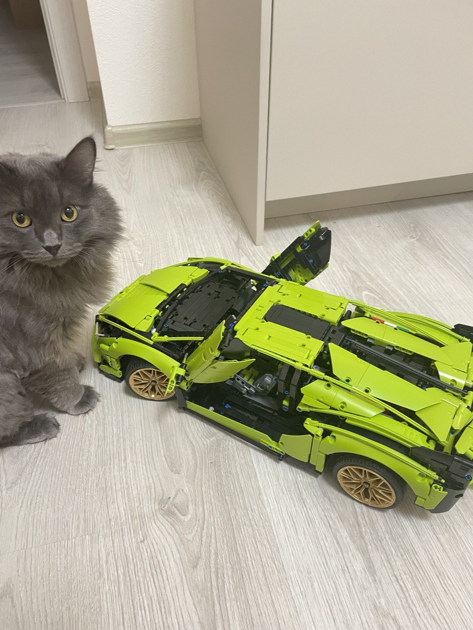 Отзывы о конструктор LEGO Technic 42115 Lamborghini Sian FKP 37 - отзывы  покупателей на Мегамаркет | конструкторы LEGO 42115 - 100027407781