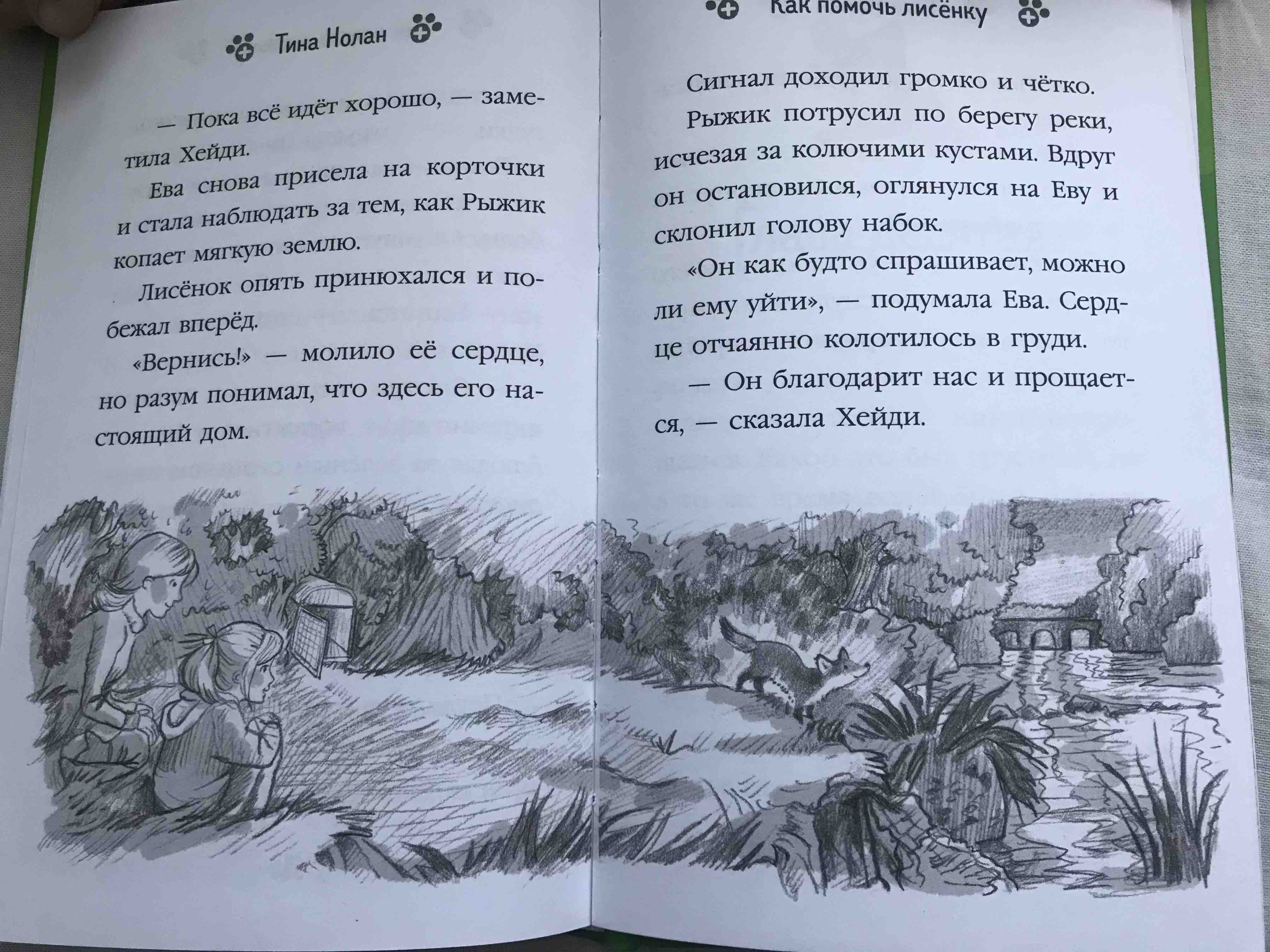 Книга Где прячется котёнок? - купить детской художественной литературы в  интернет-магазинах, цены на Мегамаркет |