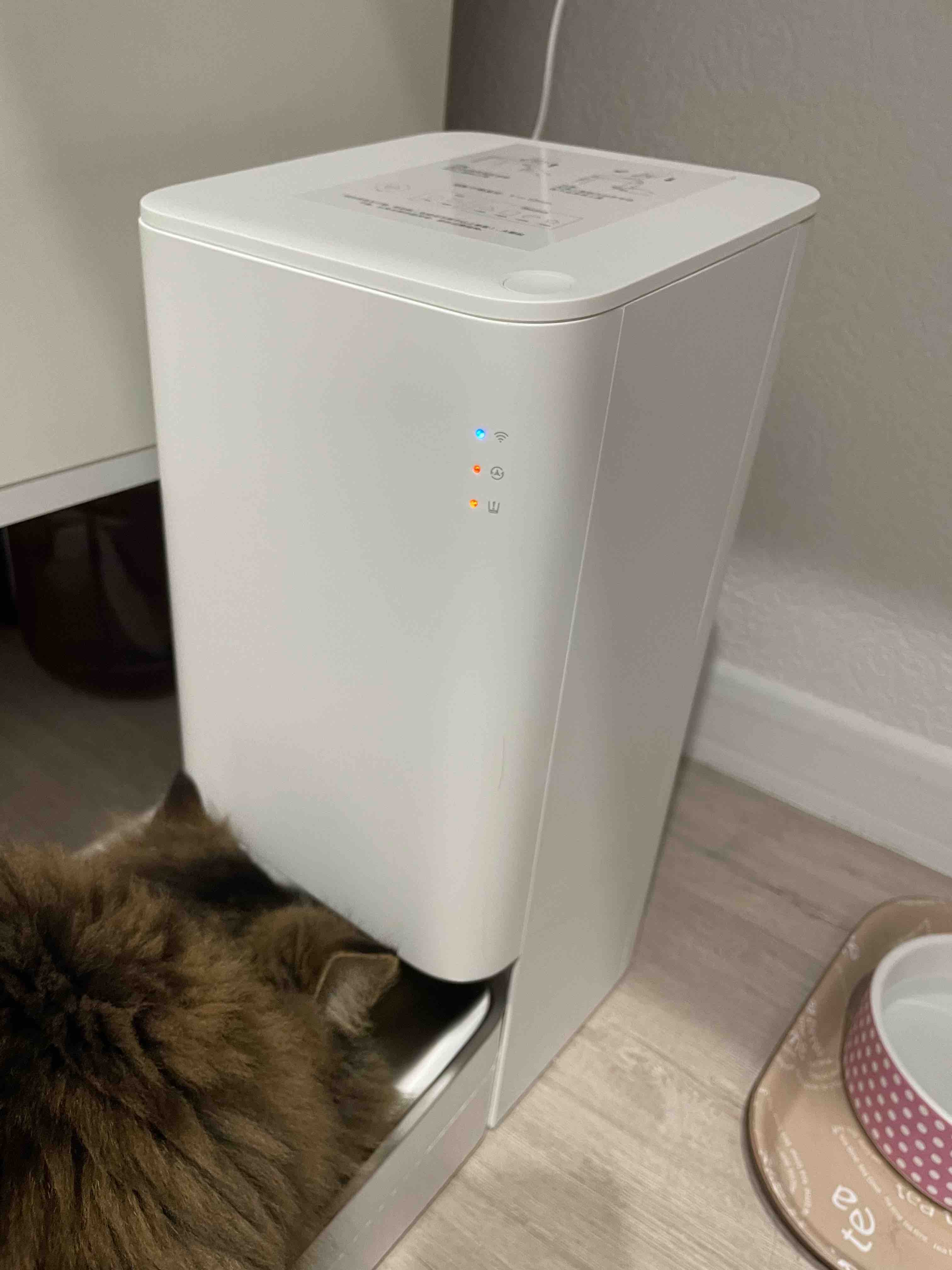 Умная автокормушка для домашних животных Xiaomi Mijia Smart Pet Feeder  XWPF01MG - отзывы покупателей на маркетплейсе Мегамаркет | Артикул  товара:600004977166