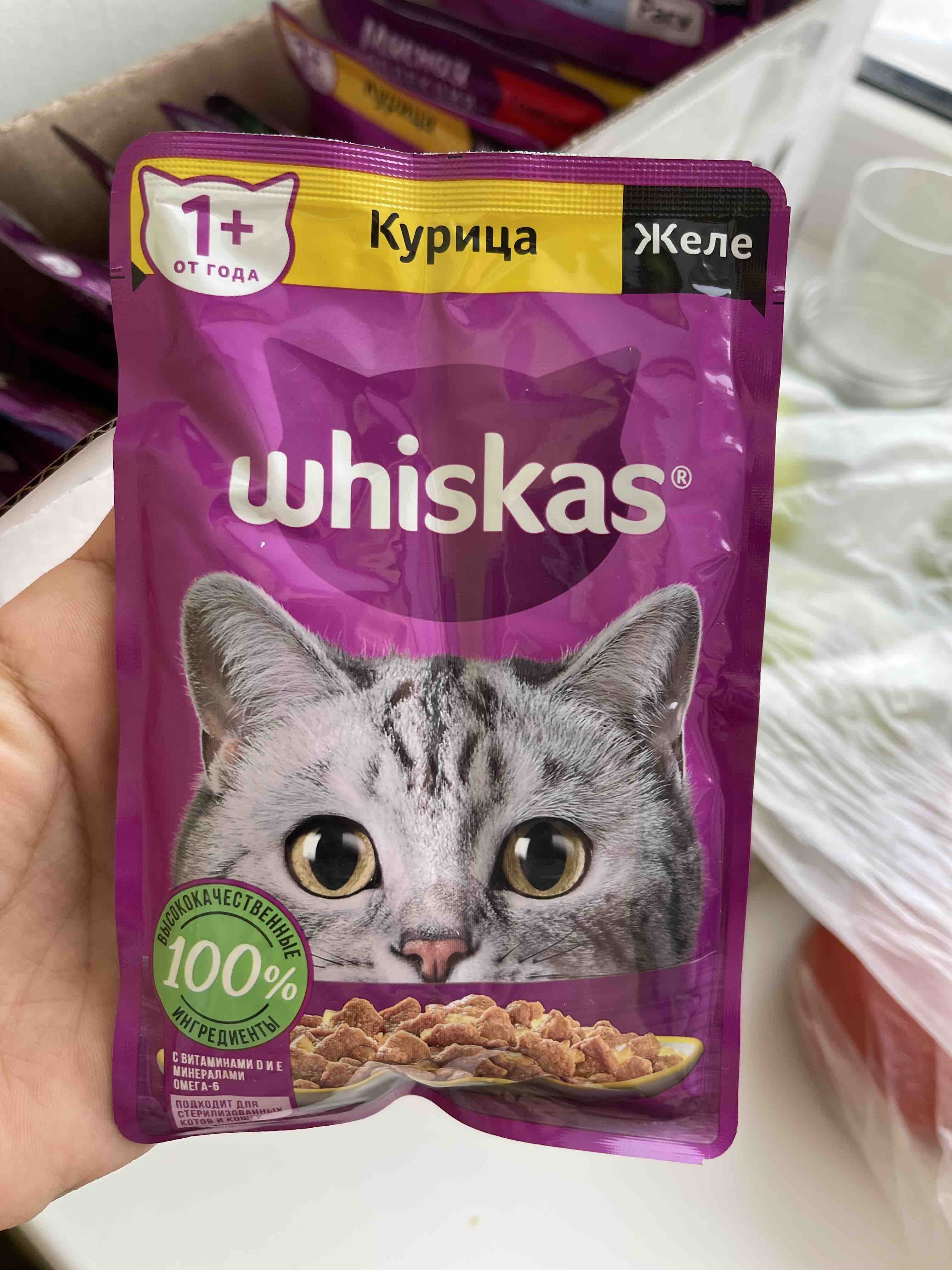 Влажный корм для кошек Whiskas желе с индейкой, 85г - отзывы покупателей на  маркетплейсе Мегамаркет | Артикул товара:100026575048