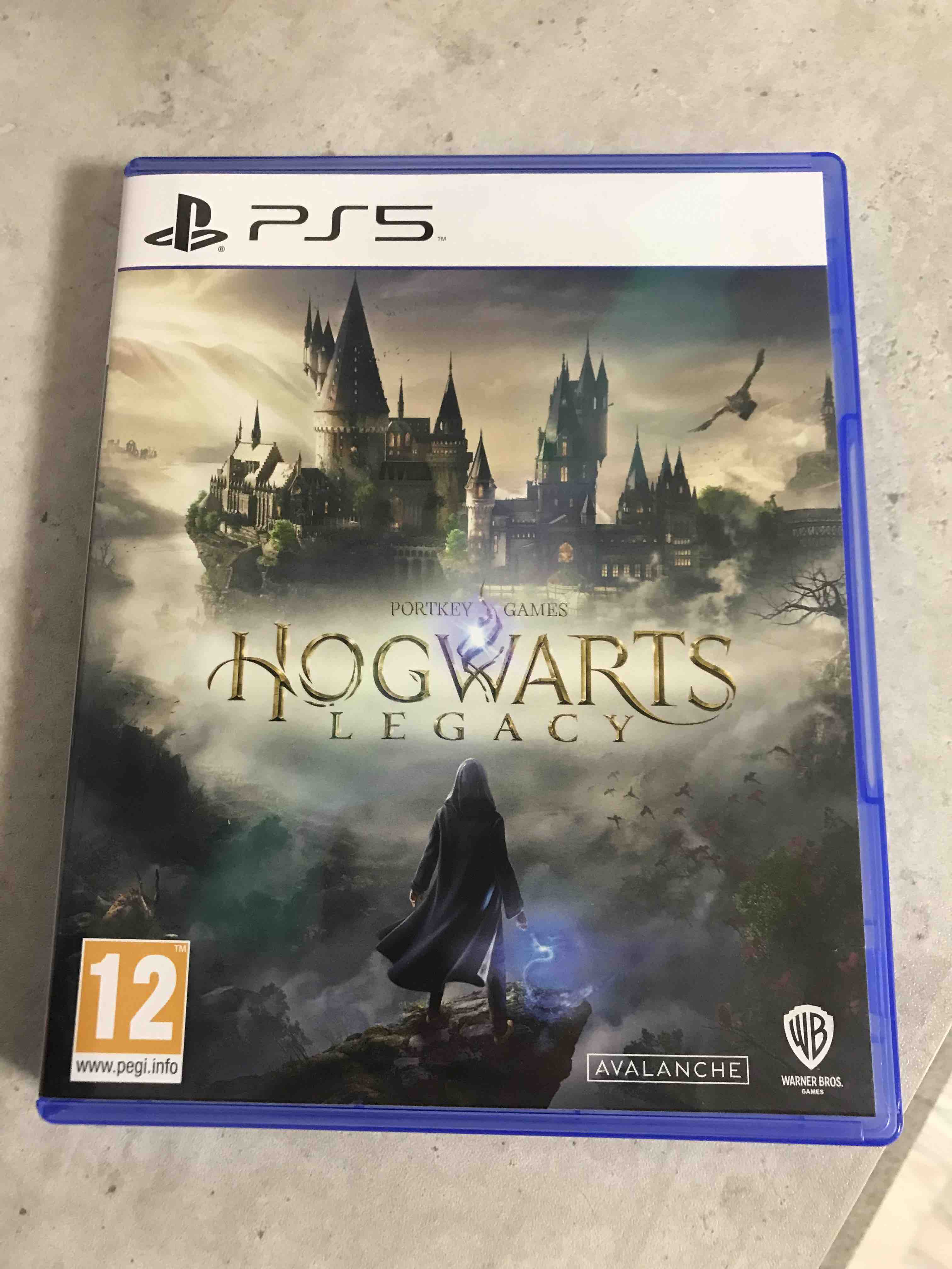 Hogwarts Legacy Ps5, Русские Субтитры – отзывы покупателей на маркетплейс  Мегамаркет | Артикул: 600010877120