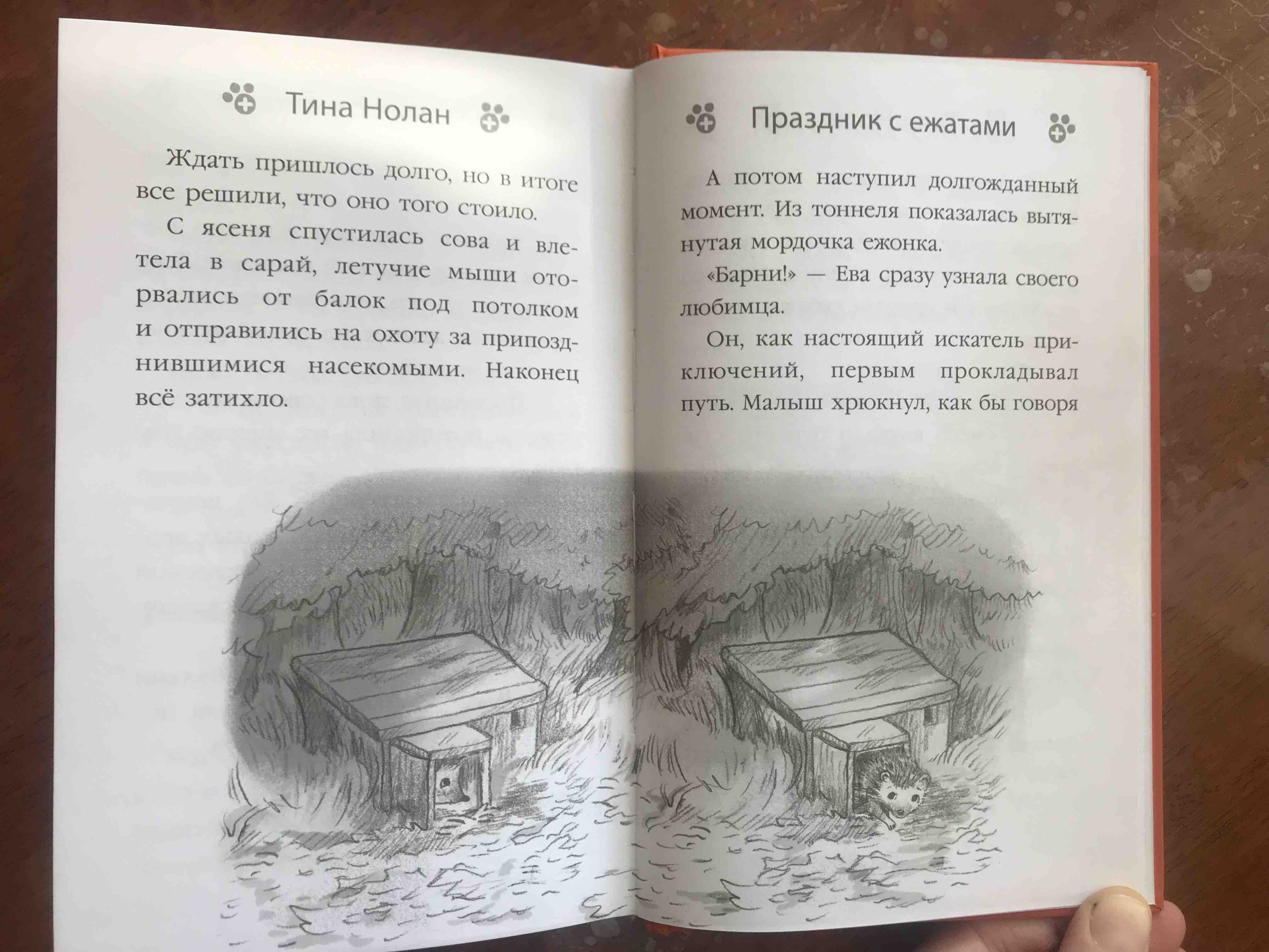 Книга Загадка белого кролика - купить детской художественной литературы в  интернет-магазинах, цены на Мегамаркет |