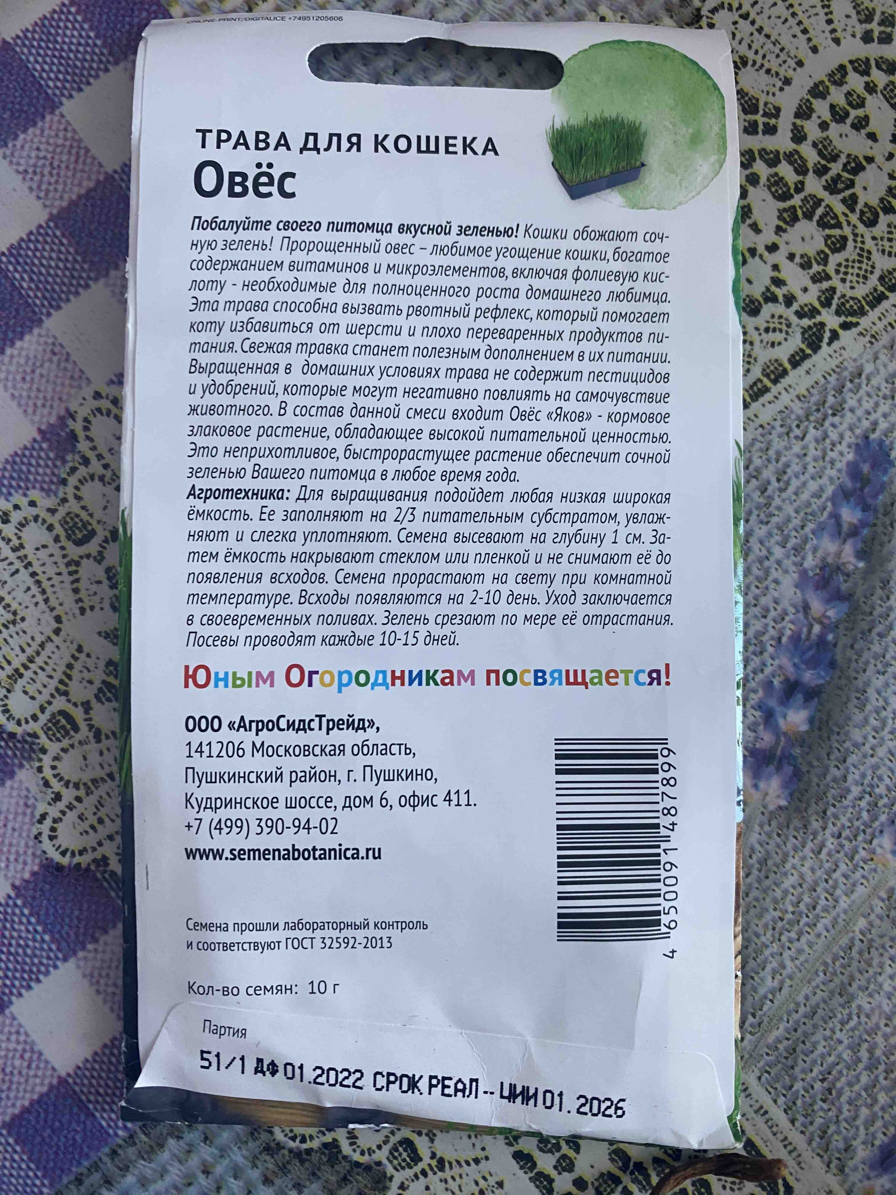 Трава для кошек Детская грядка Овёс, 10 г - отзывы покупателей на  Мегамаркет | 600008642200