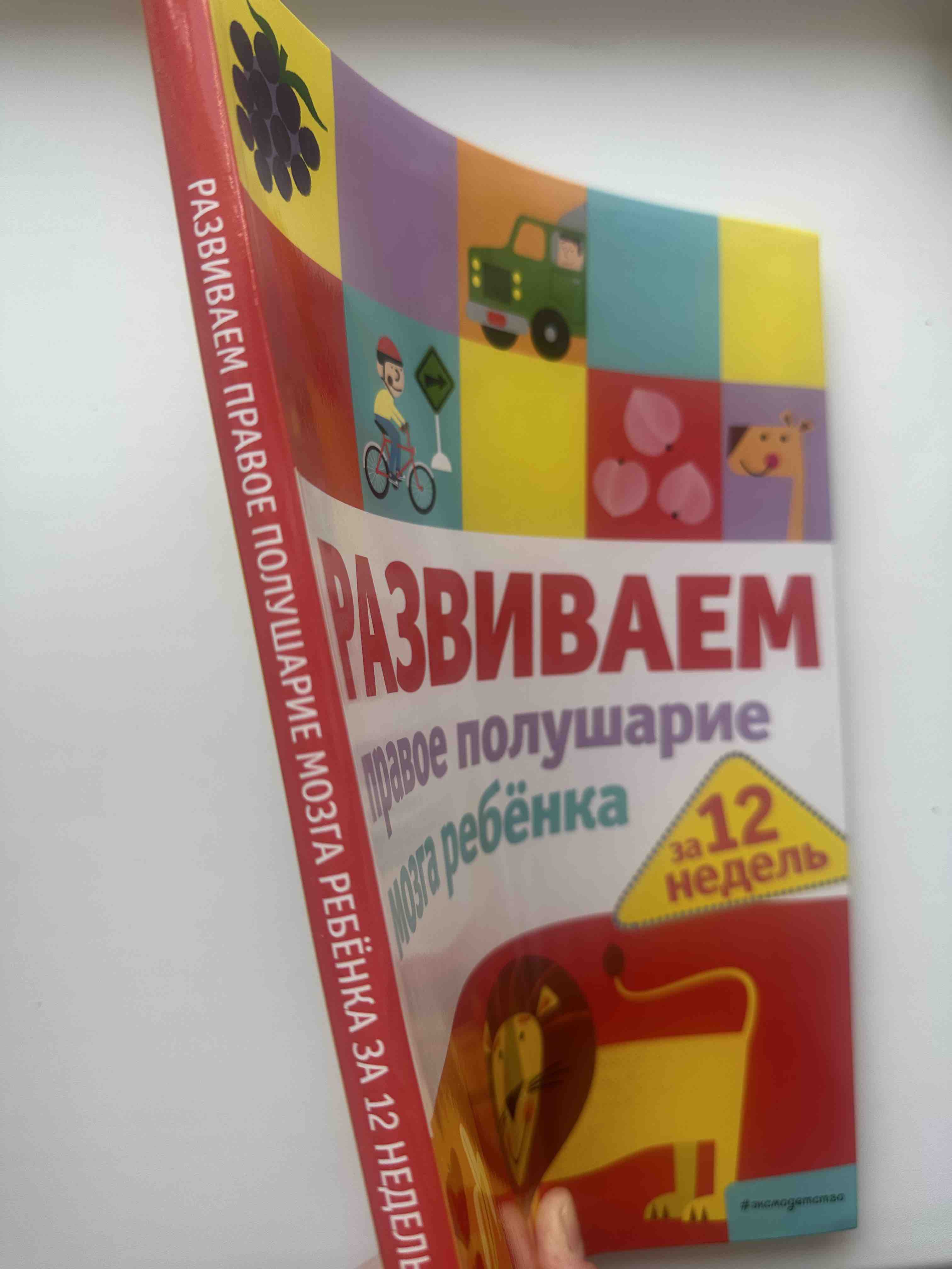 Книга Развиваем правое полушарие мозга ребенка за 12 недель - купить  детской психологии и здоровья в интернет-магазинах, цены на Мегамаркет |