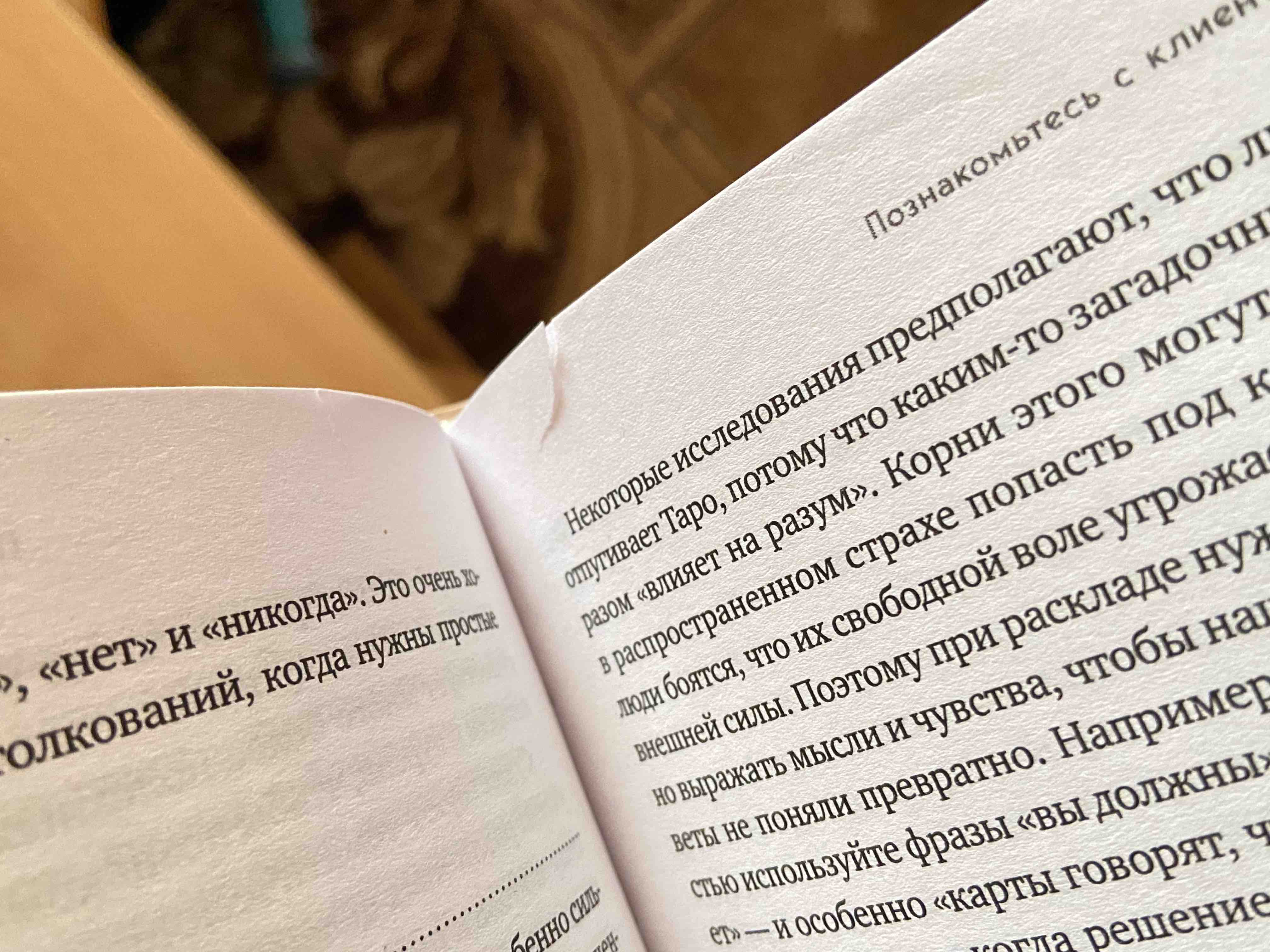 Книга Оракул мадам Ленорман. Система предсказания будущего - купить  эзотерики и парапсихологии в интернет-магазинах, цены на Мегамаркет |  978-5-699-99438-0