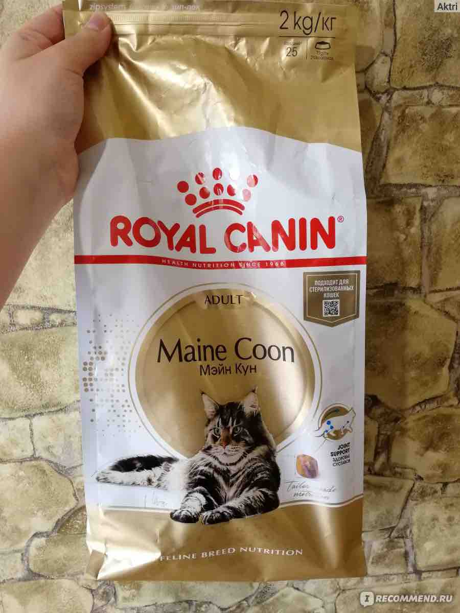 Siamese 38 Royal Canin Купить 2 Кг