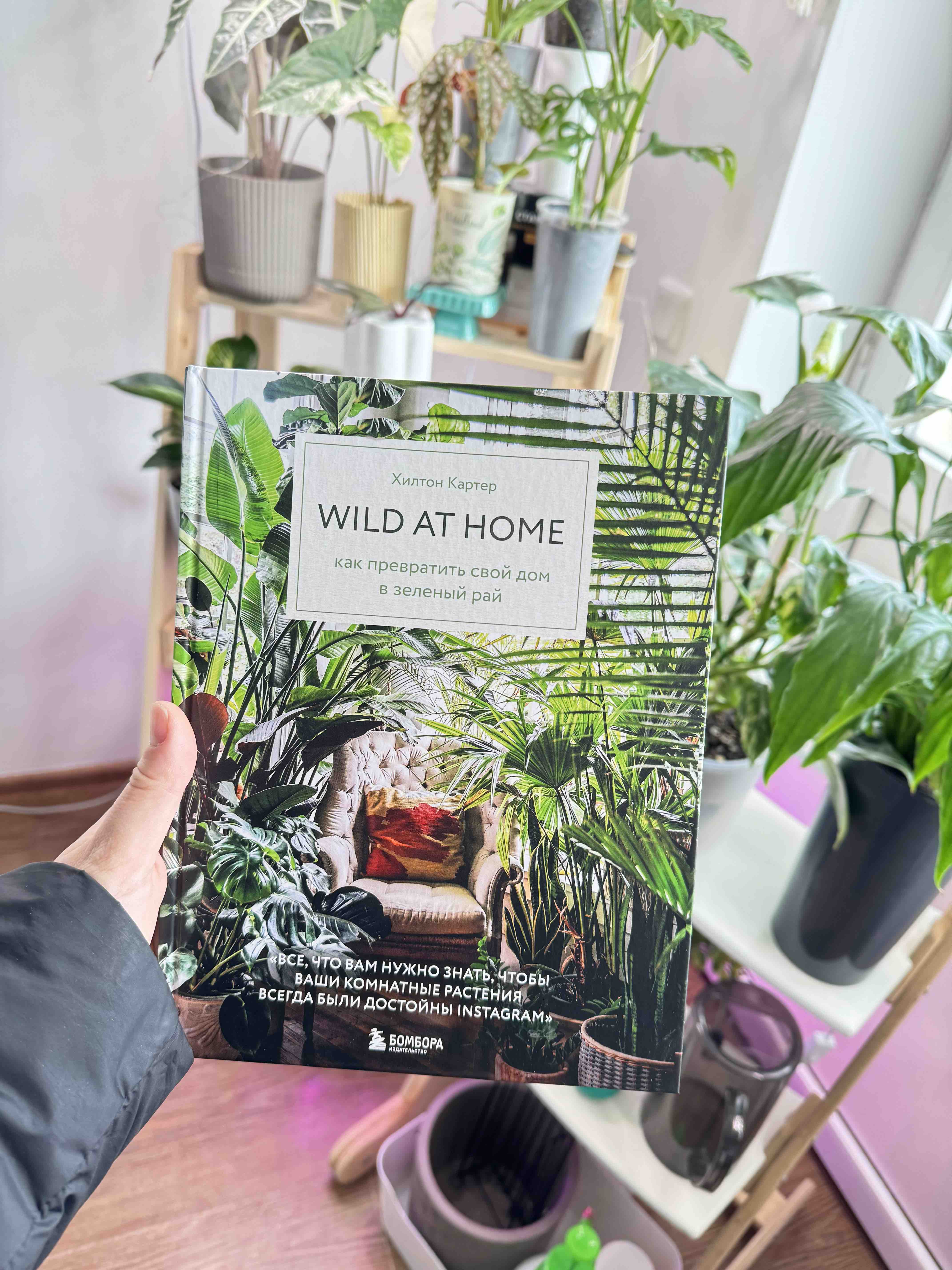 Книга Wild at home. Как превратить свой дом в зеленый рай - купить дома и  досуга в интернет-магазинах, цены на Мегамаркет |