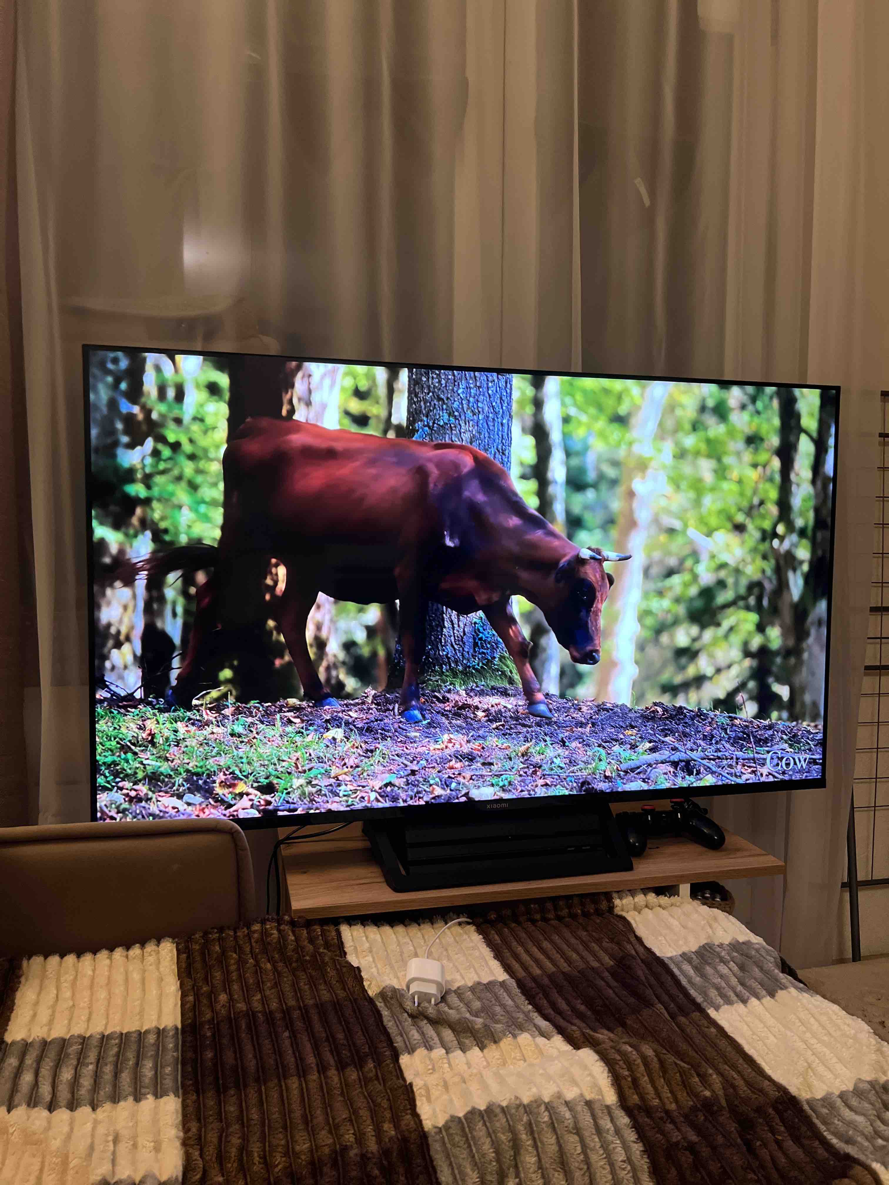 Телевизор Xiaomi Mi TV A2, 50