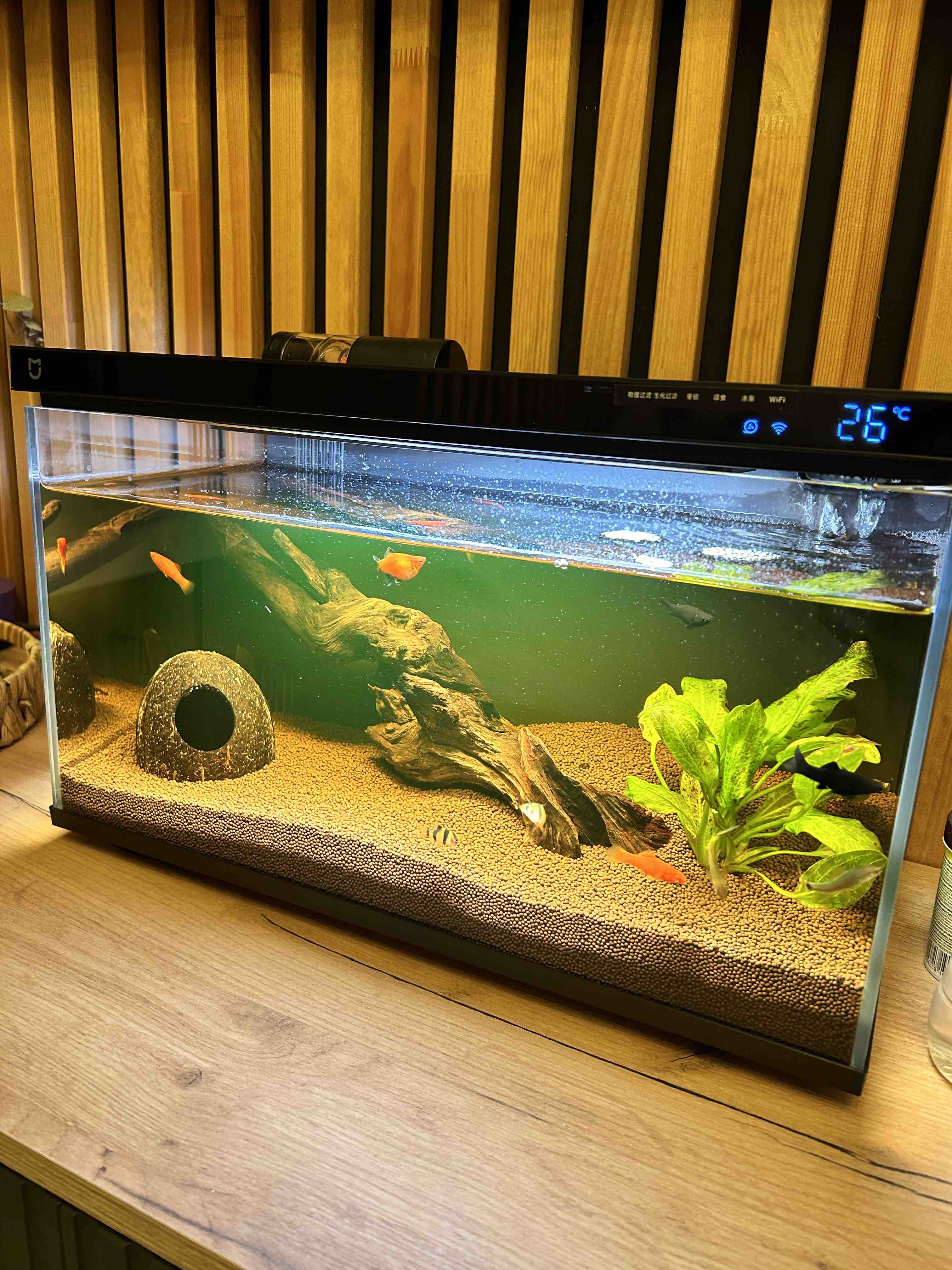 Купить умный аквариум Xiaomi Mijia Smart Fish Tank MYG100, цены на  Мегамаркет | Артикул: 100057203274