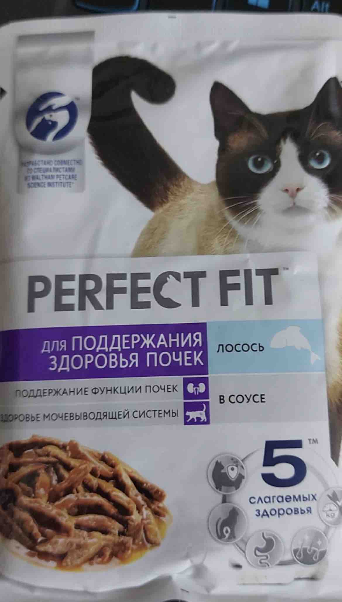 Влажный корм для кошек PERFECT FIT Здоровье почек с лососем в соусе, 75 г -  отзывы покупателей на маркетплейсе Мегамаркет | Артикул товара:100045572352