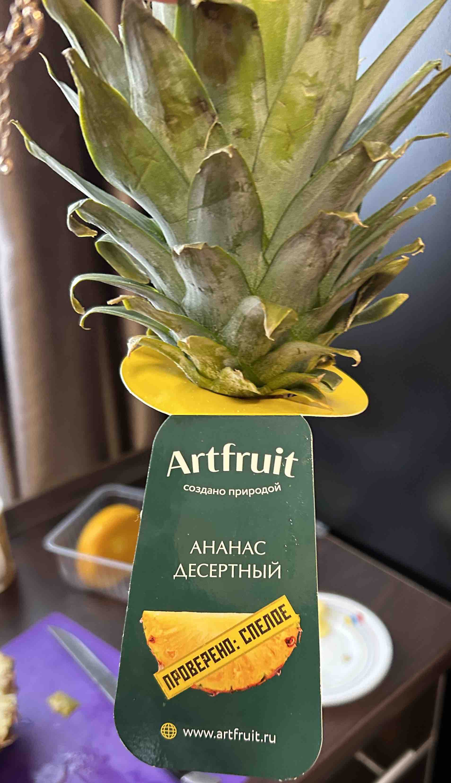 Ананас Artfruit 1 шт лоток - отзывы покупателей на маркетплейсе Мегамаркет  | Артикул: 100036945774