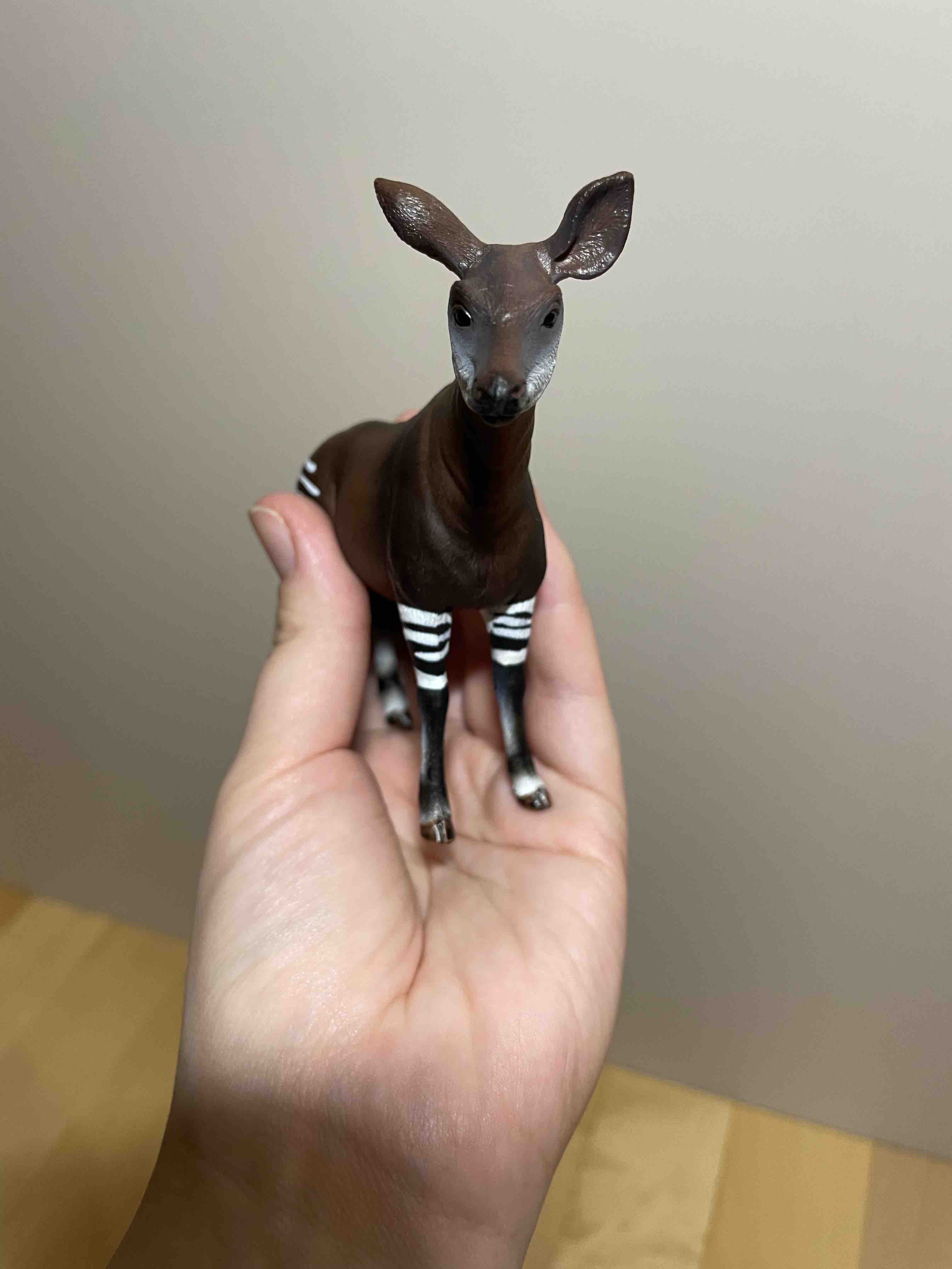 Купить фигурка Schleich Окапи, цены на Мегамаркет