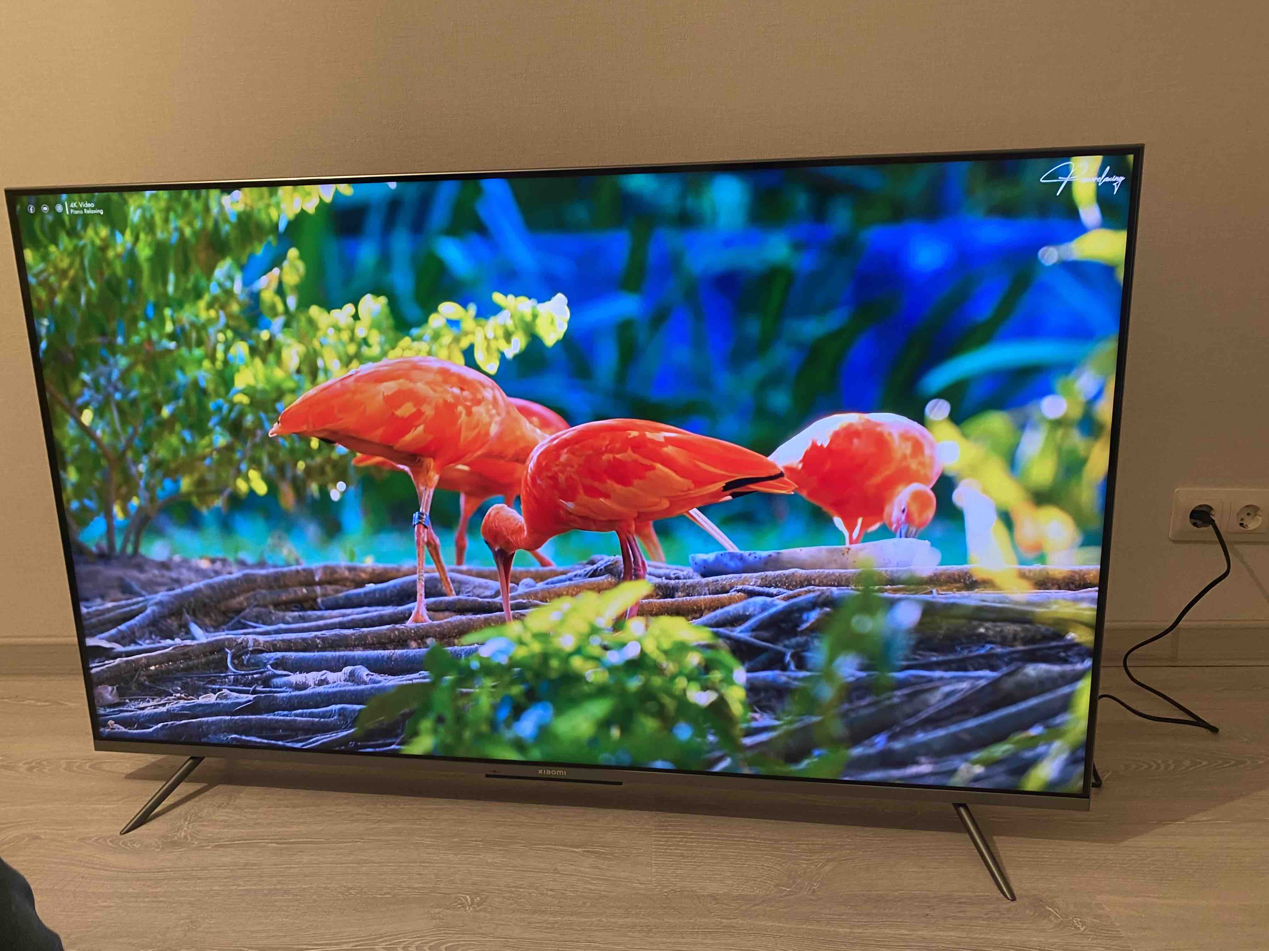 Xiaomi Tv Q1e 55 Купить