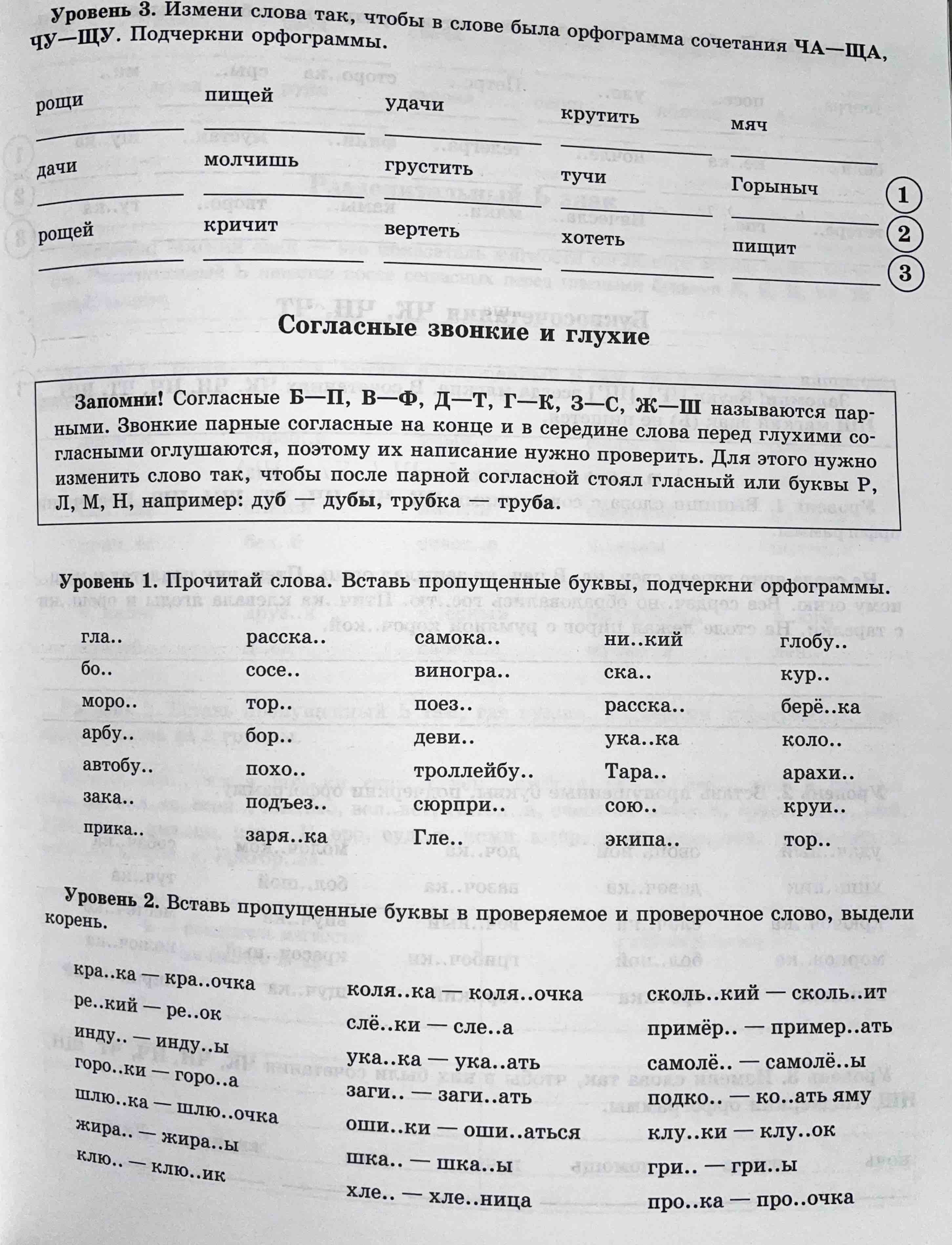 Книга Окружающий мир, Повторяем изученное во 2 классе, 2-3 класс, Зайцев  А,А, Все приме... - купить справочника и сборника задач в  интернет-магазинах, цены на Мегамаркет |