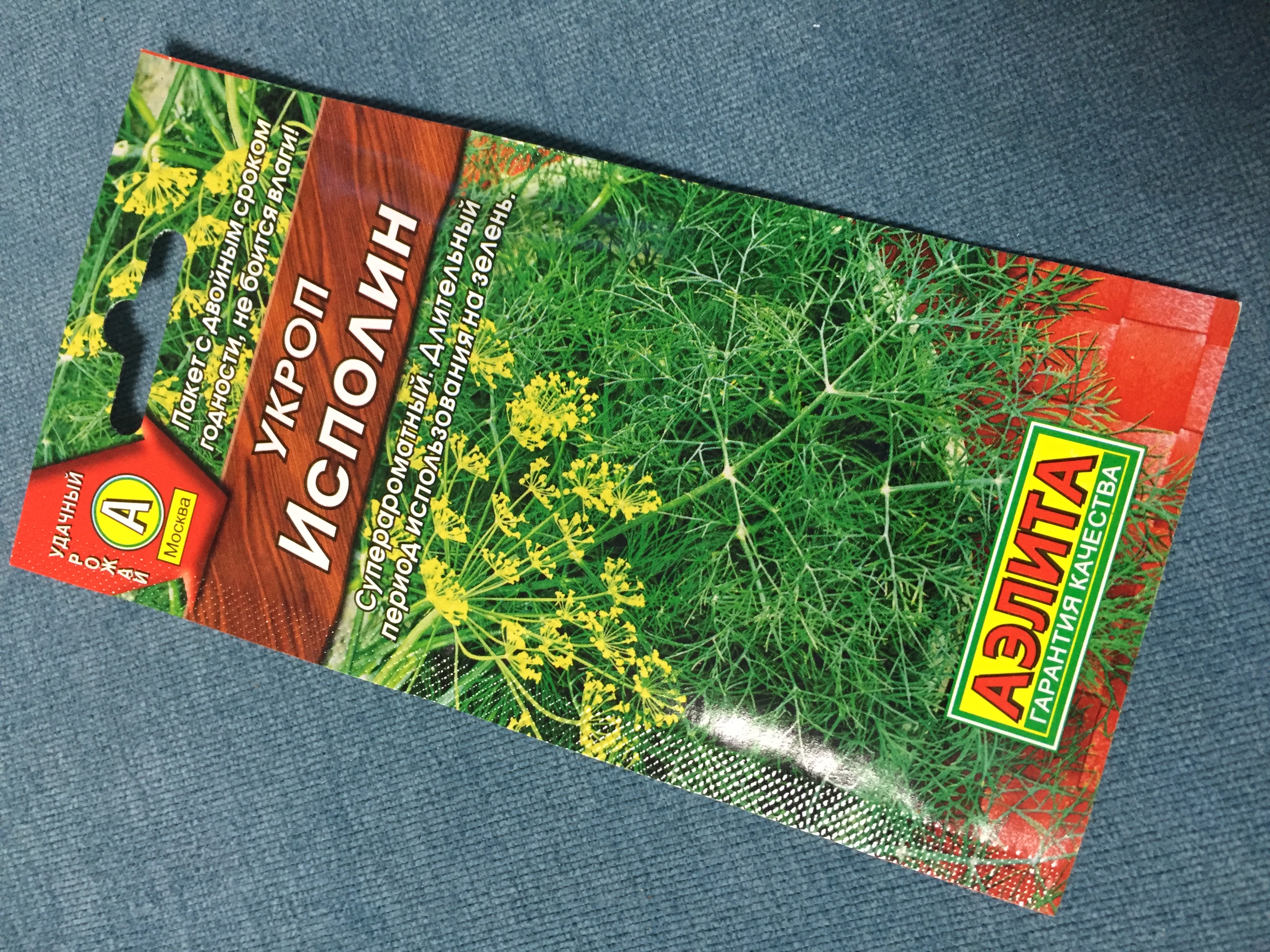 Здоровый укроп на грядке