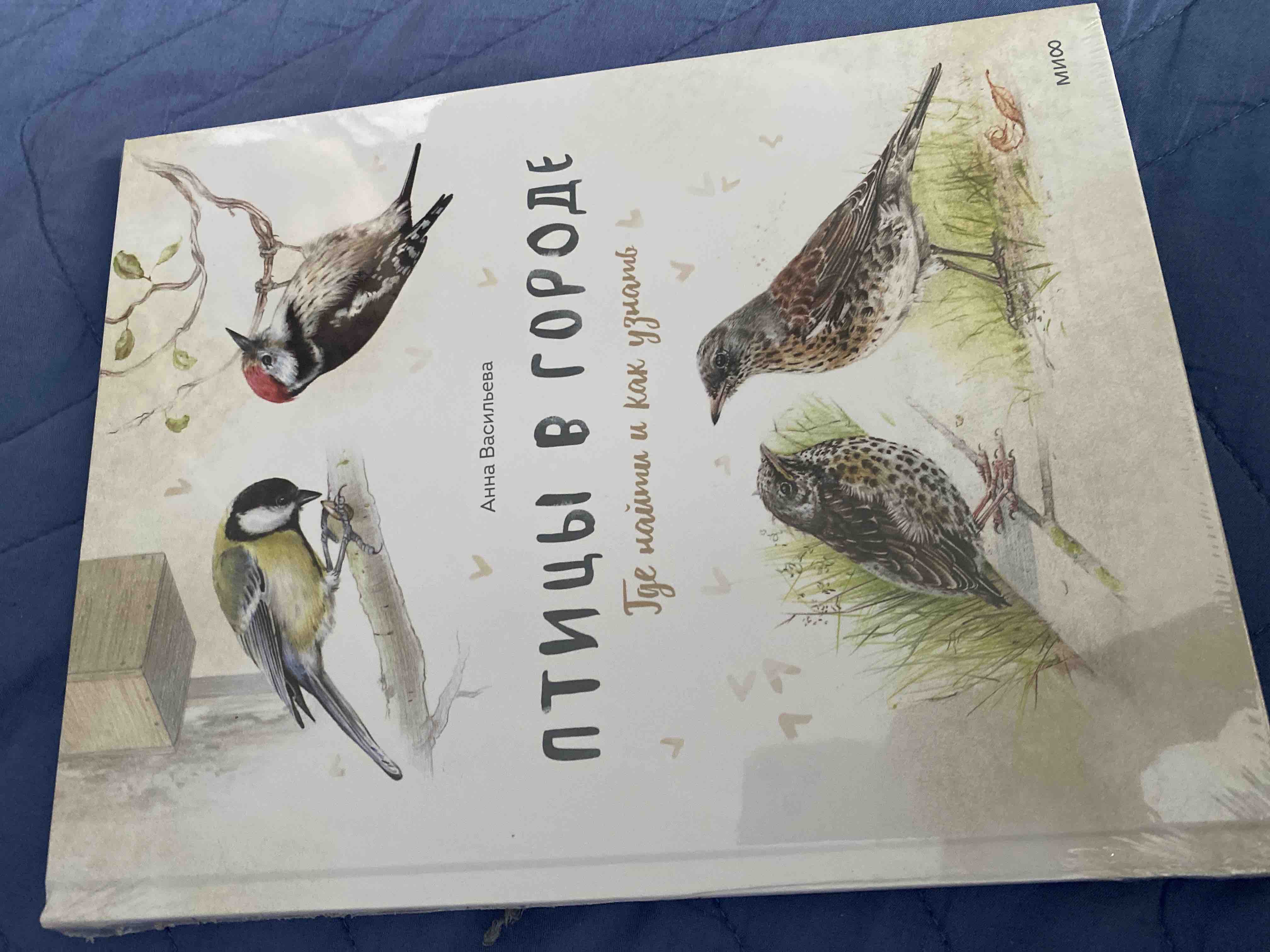 Книга Огород круглый год. Твоя грядка на балконе - купить дома и досуга в  интернет-магазинах, цены на Мегамаркет |