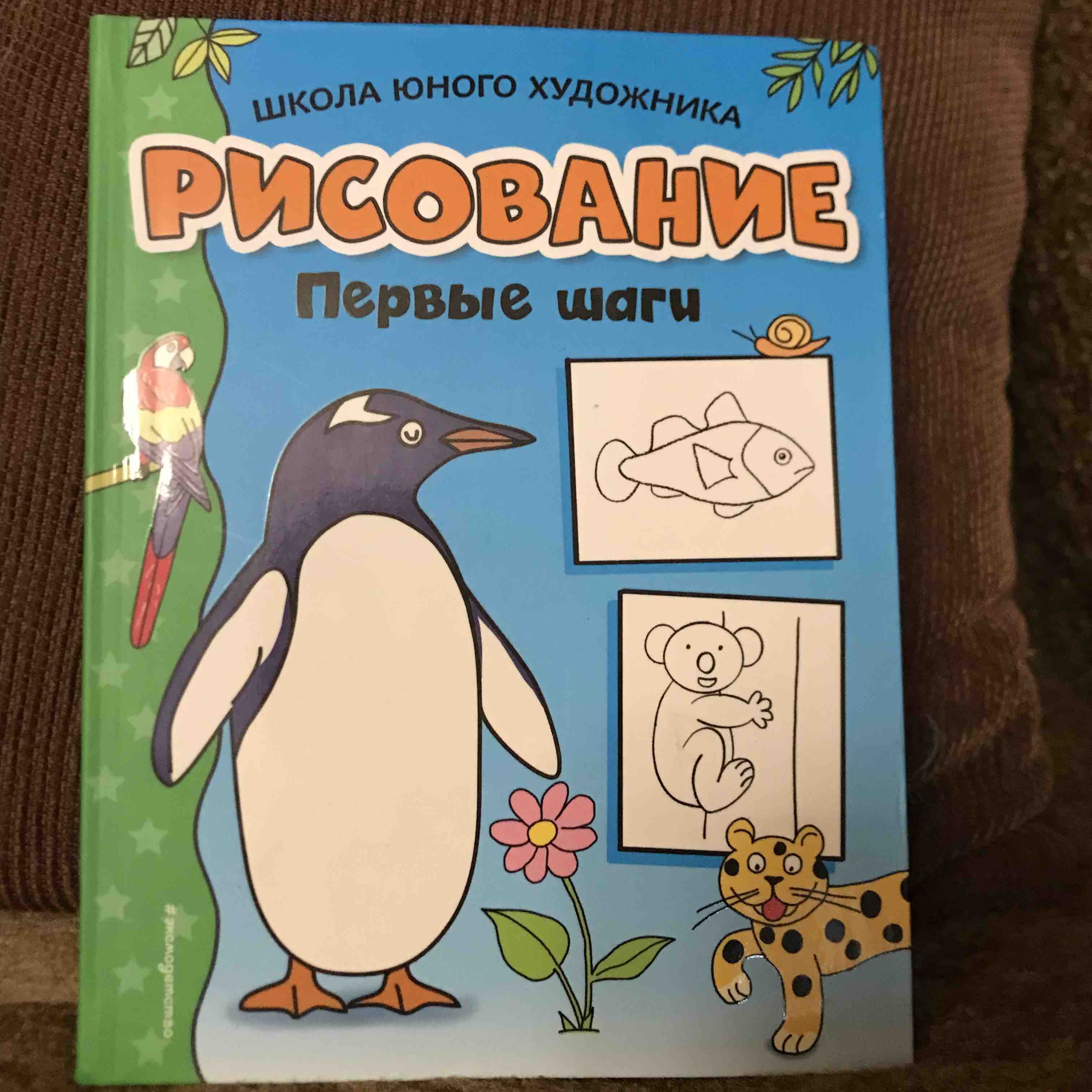 Школа Юного Художника. Рисование. первые Шаги - купить самоучителя в  интернет-магазинах, цены на Мегамаркет | 1626158