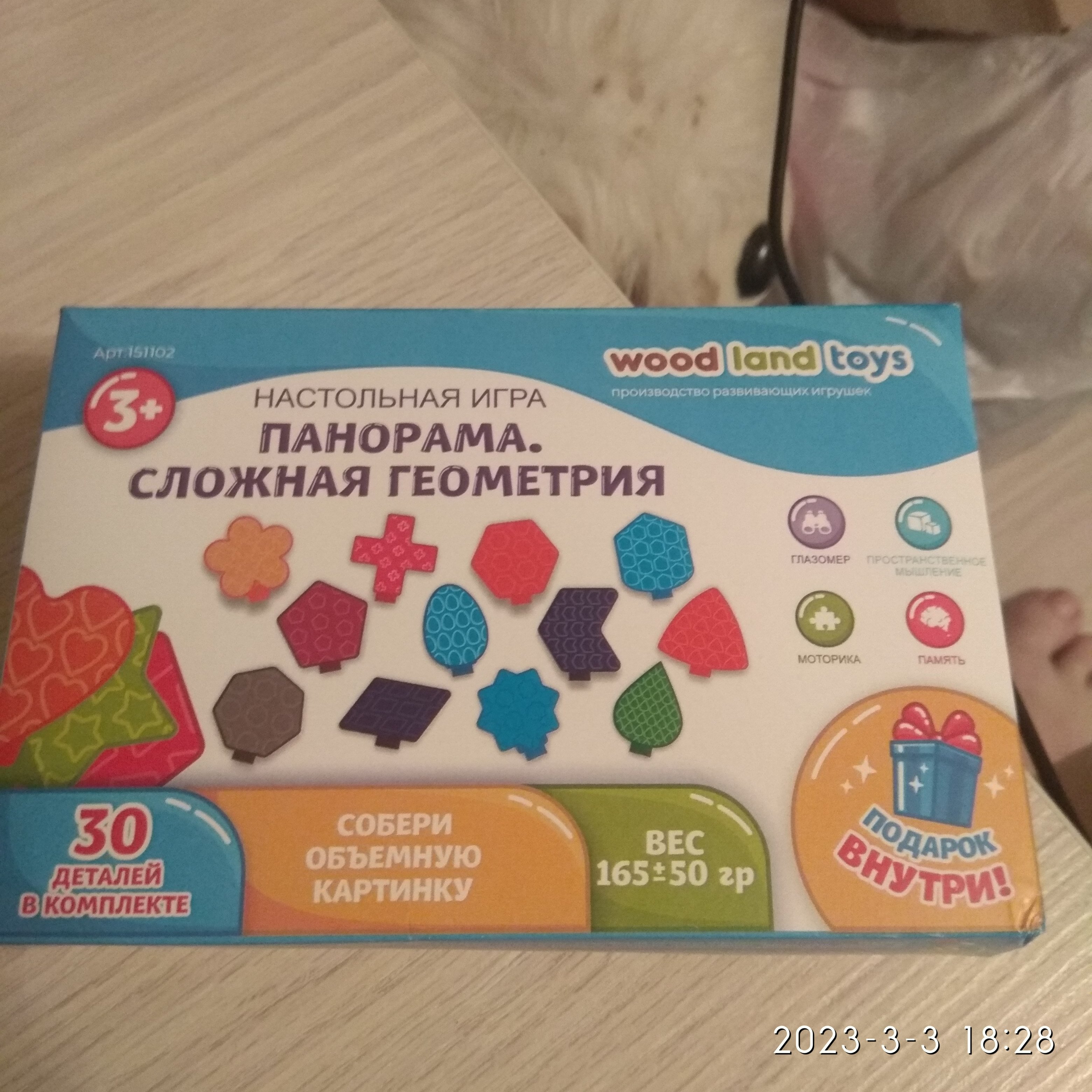 Купить настольная игра Woodlandtoys Панорама. Сложная геометрия 16*10*4,5  см 151102, цены на Мегамаркет | Артикул: 100030241724