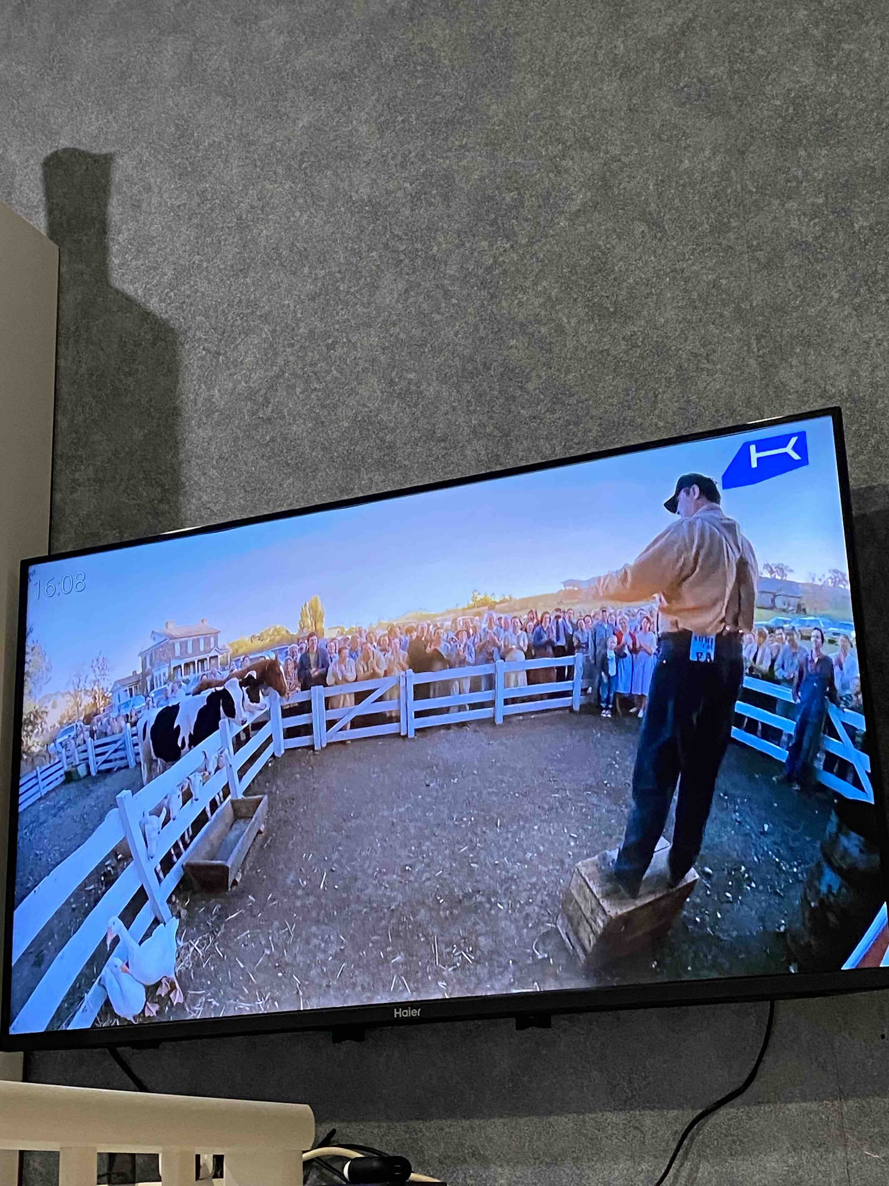 LED Телевизор 4K Ultra HD Haier 43 Smart TV MX - отзывы покупателей на  маркетплейсе Мегамаркет | Артикул: 100028053205