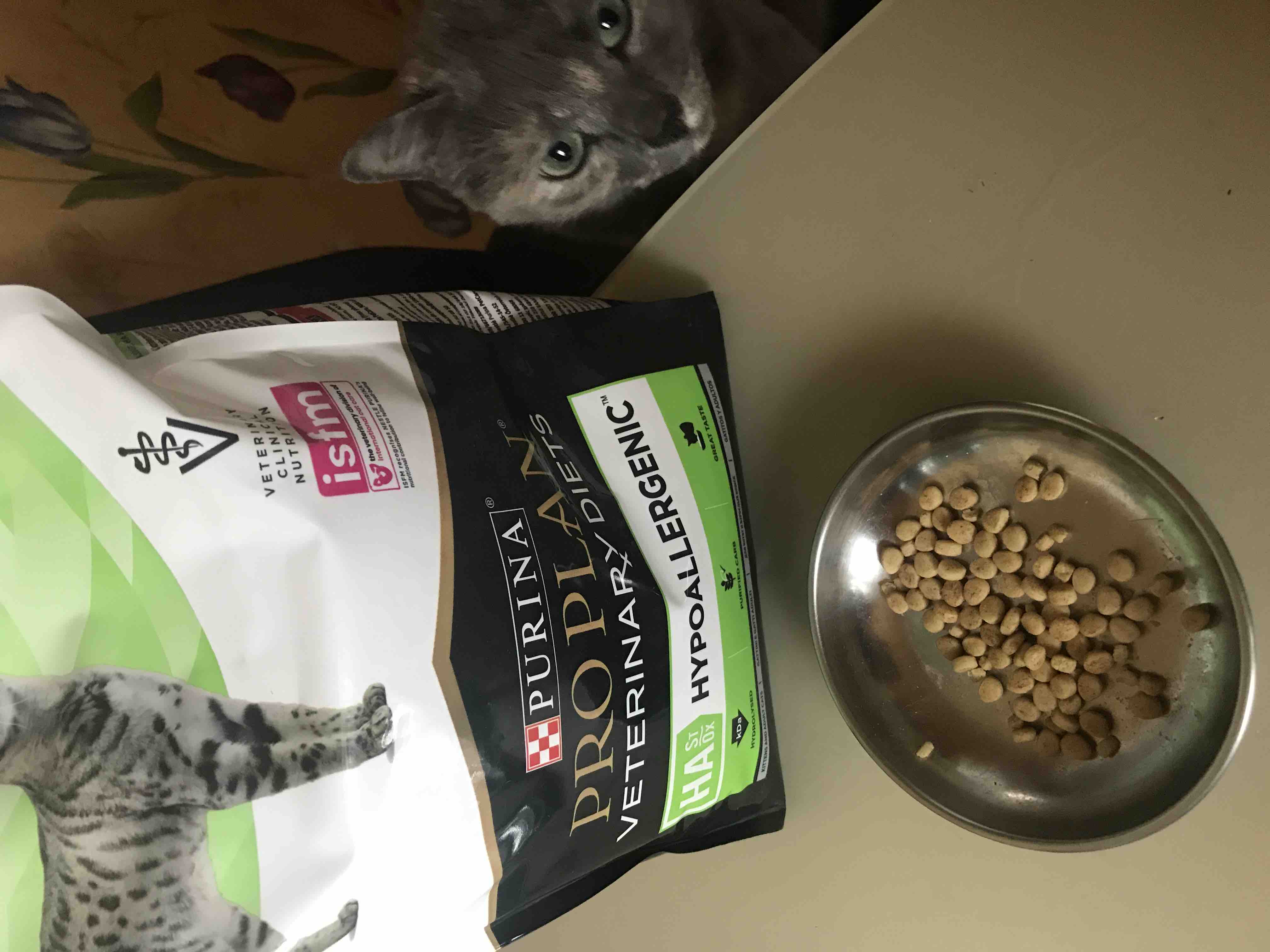 Сухой корм для котят и кошек Pro Plan Veterinary Diets Hypoallergenic, при  аллергии, 1,3кг - отзывы покупателей на маркетплейсе Мегамаркет | Артикул  товара:100036078225