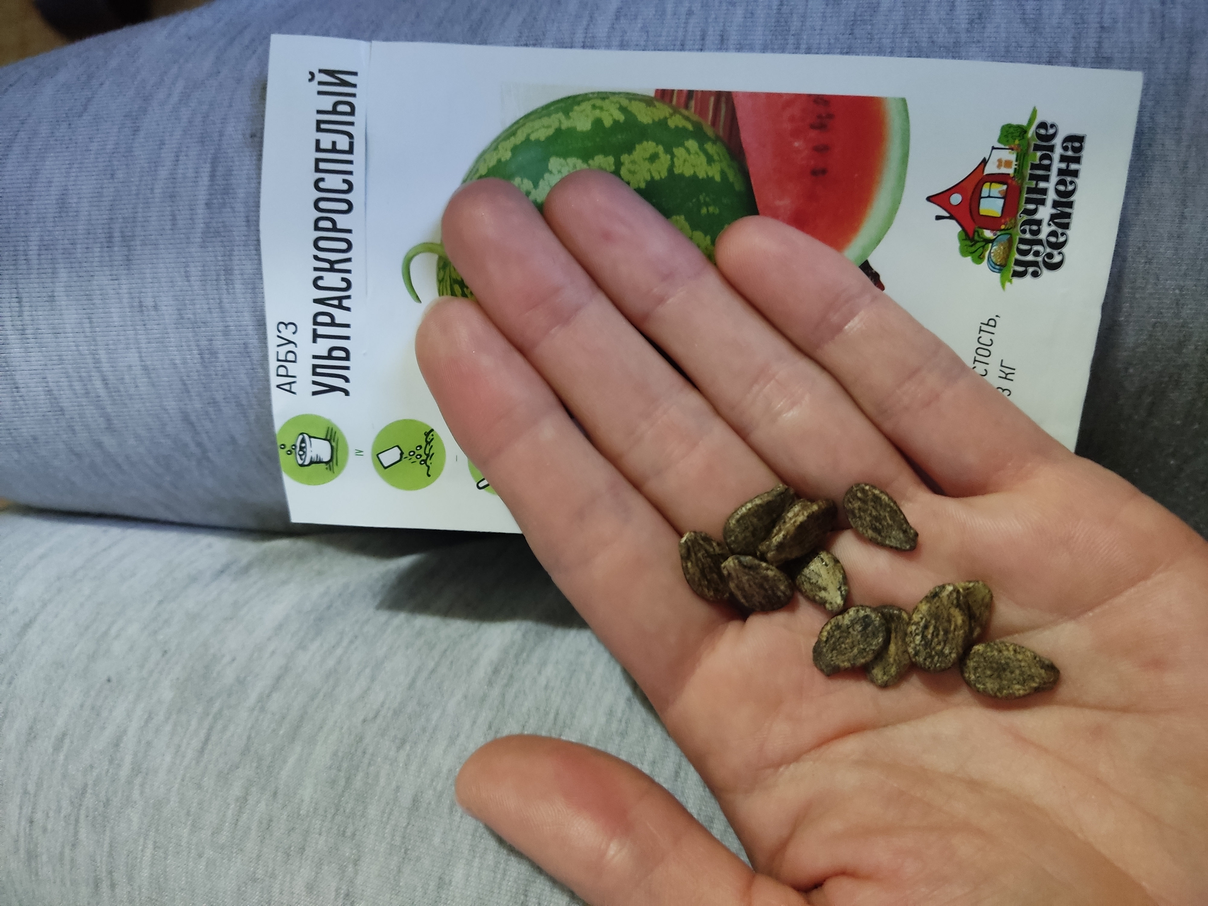 Семена ягод Гавриш Арбуз Ультраскороспелый 1 г - отзывы покупателей наМегамаркет