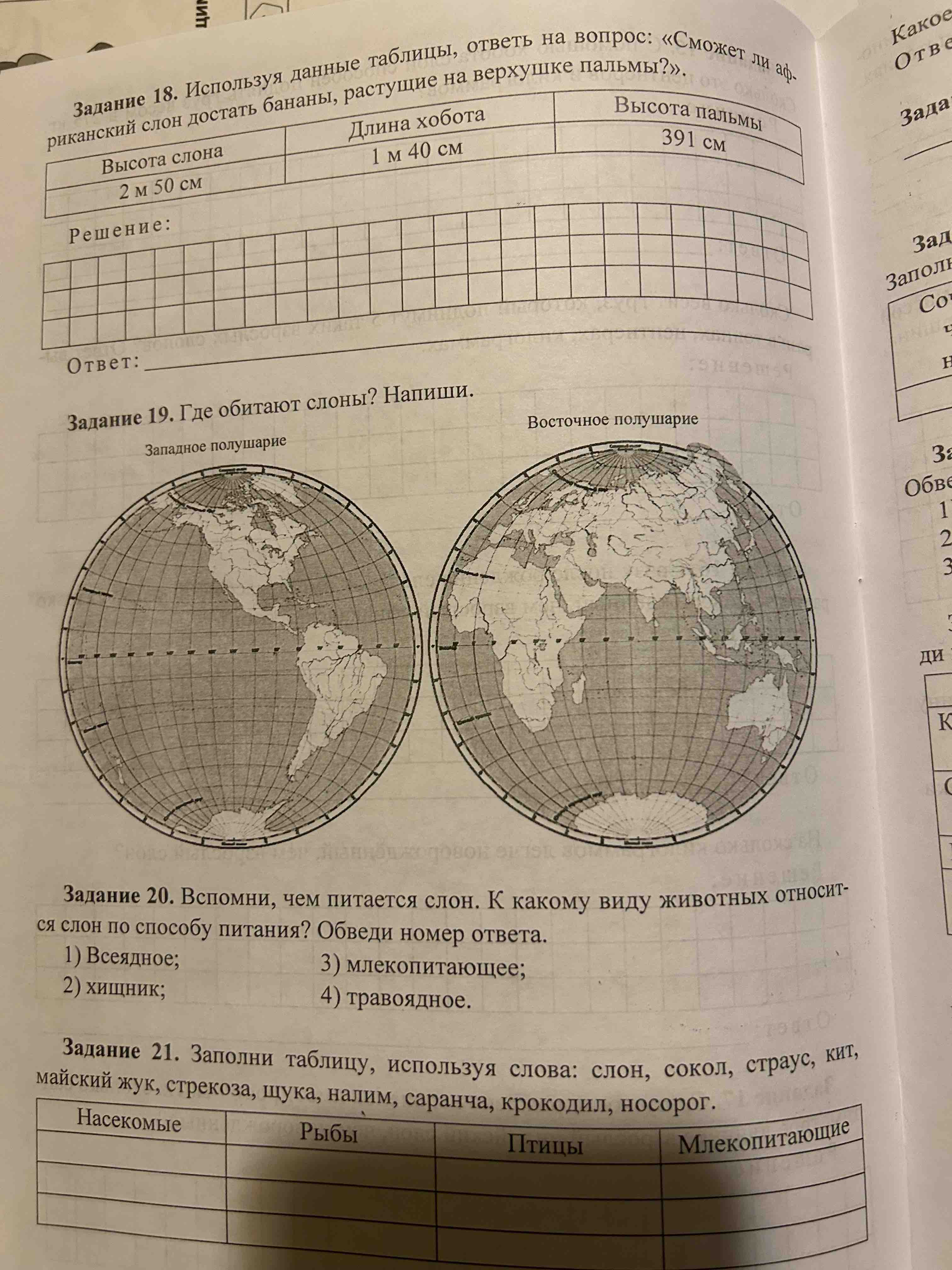 Математика, 6 класс Диагностика Уровней Сформированности предметных Умений  и Ууд (Фгос) - купить педагогической диагностики в интернет-магазинах, цены  на Мегамаркет | 6895864