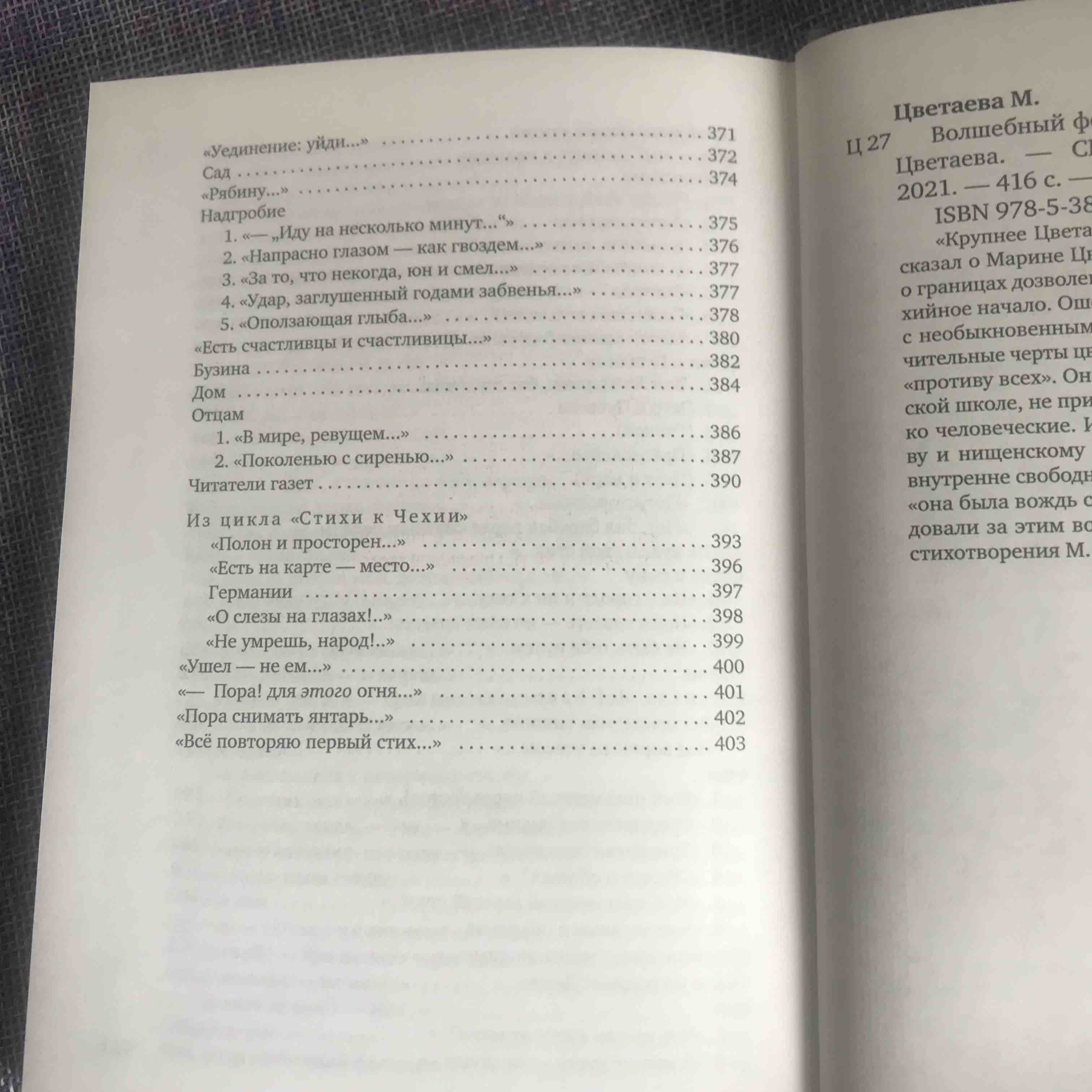 Василий Теркин - купить классической прозы в интернет-магазинах, цены на  Мегамаркет | 978-5-389-23437-6