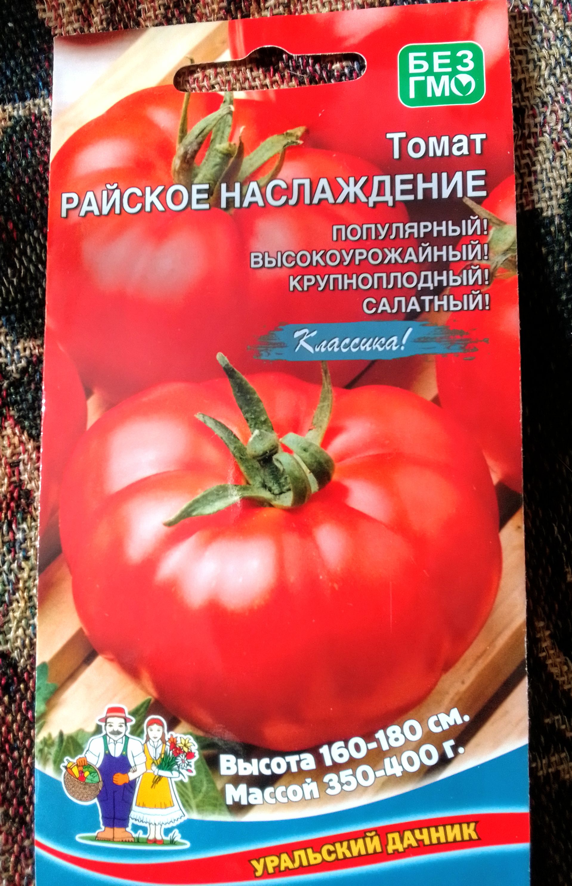 Помидор наслаждение. Томат райское наслаждение. Томат райское наслаждение отзывы. Томат райское наслаждение описание сорта фото отзывы.