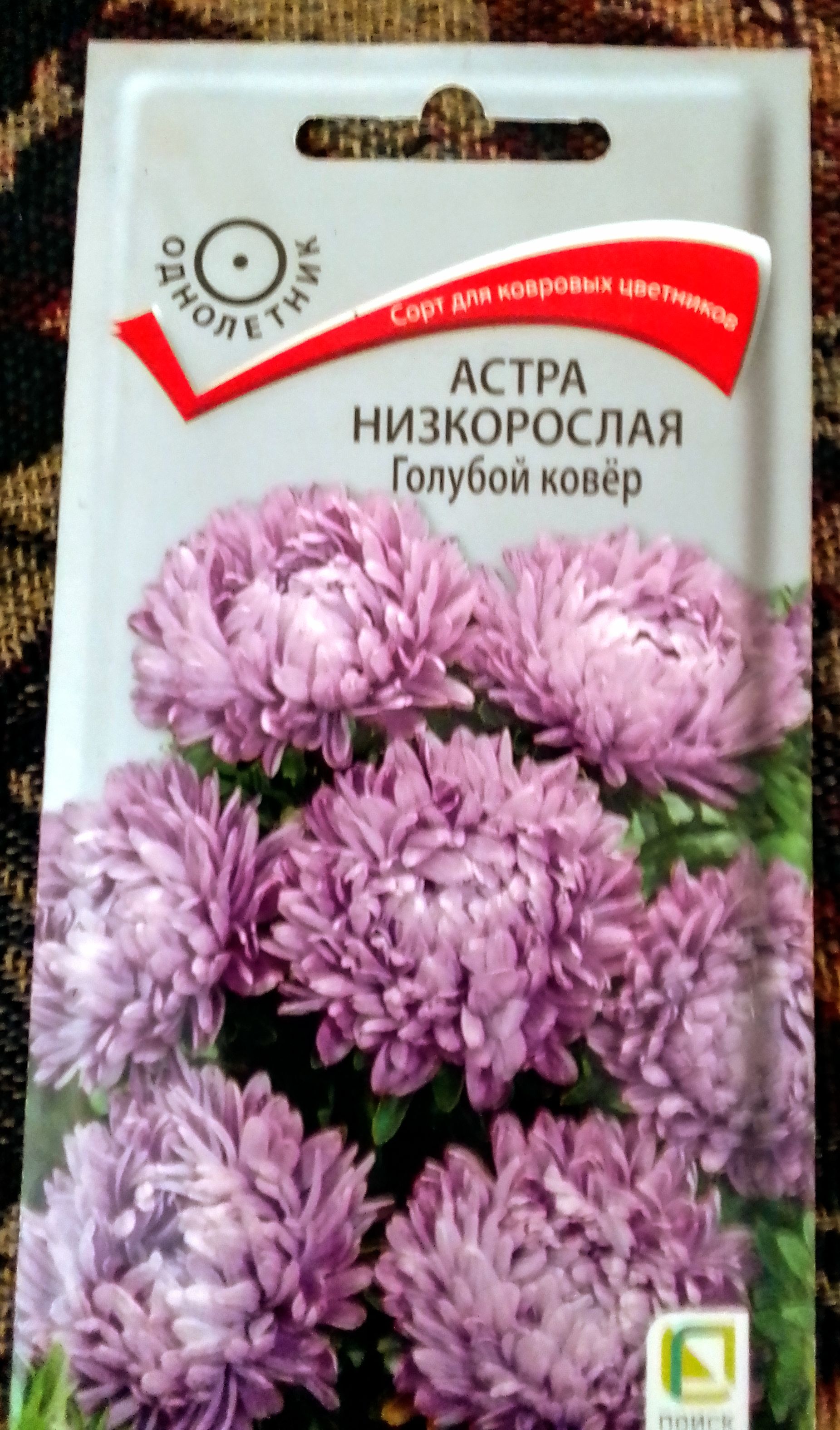 Семена астра Поиск Голубой ковер 150108 1 уп. - купить в Москве, цены на  Мегамаркет