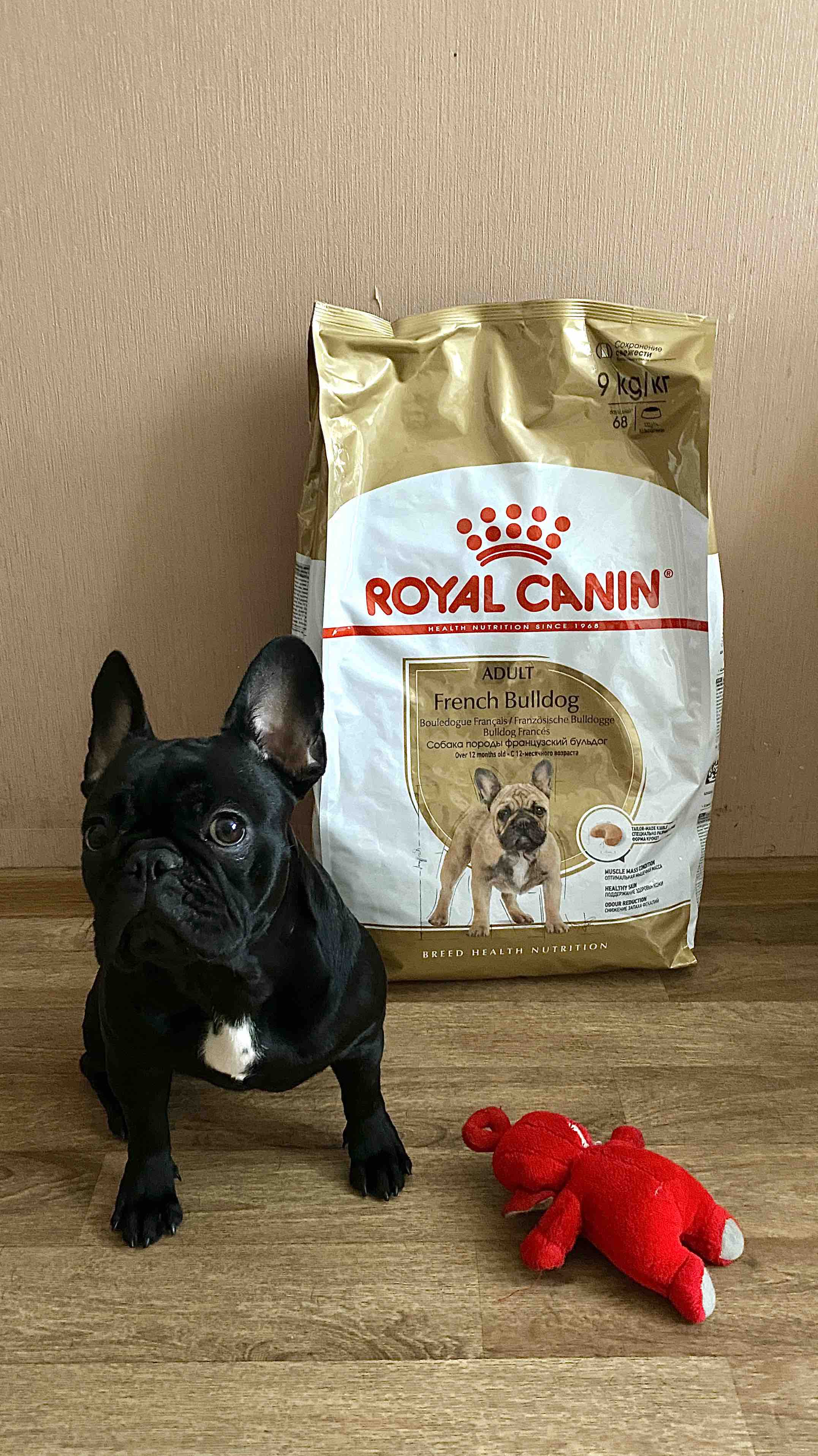 Сухой корм для собак ROYAL CANIN French Bulldog Adult, свинина, птица, 9кг  - отзывы покупателей на маркетплейсе Мегамаркет | Артикул  товара:100001284039