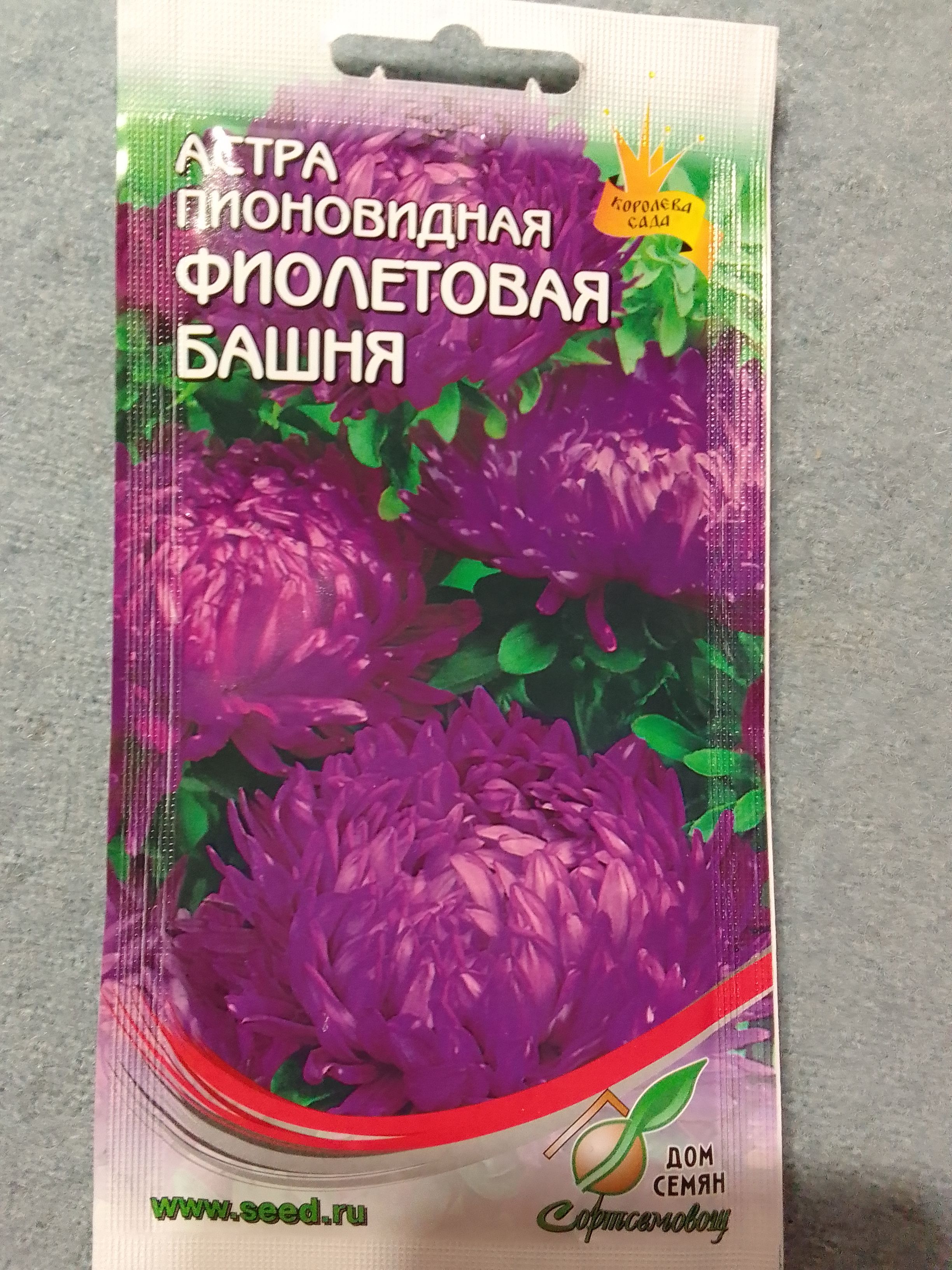 Семена Дом семян Фиолетовая башня астра пионовидная 0,25 г - купить в  Москве, цены на Мегамаркет | 100028989375