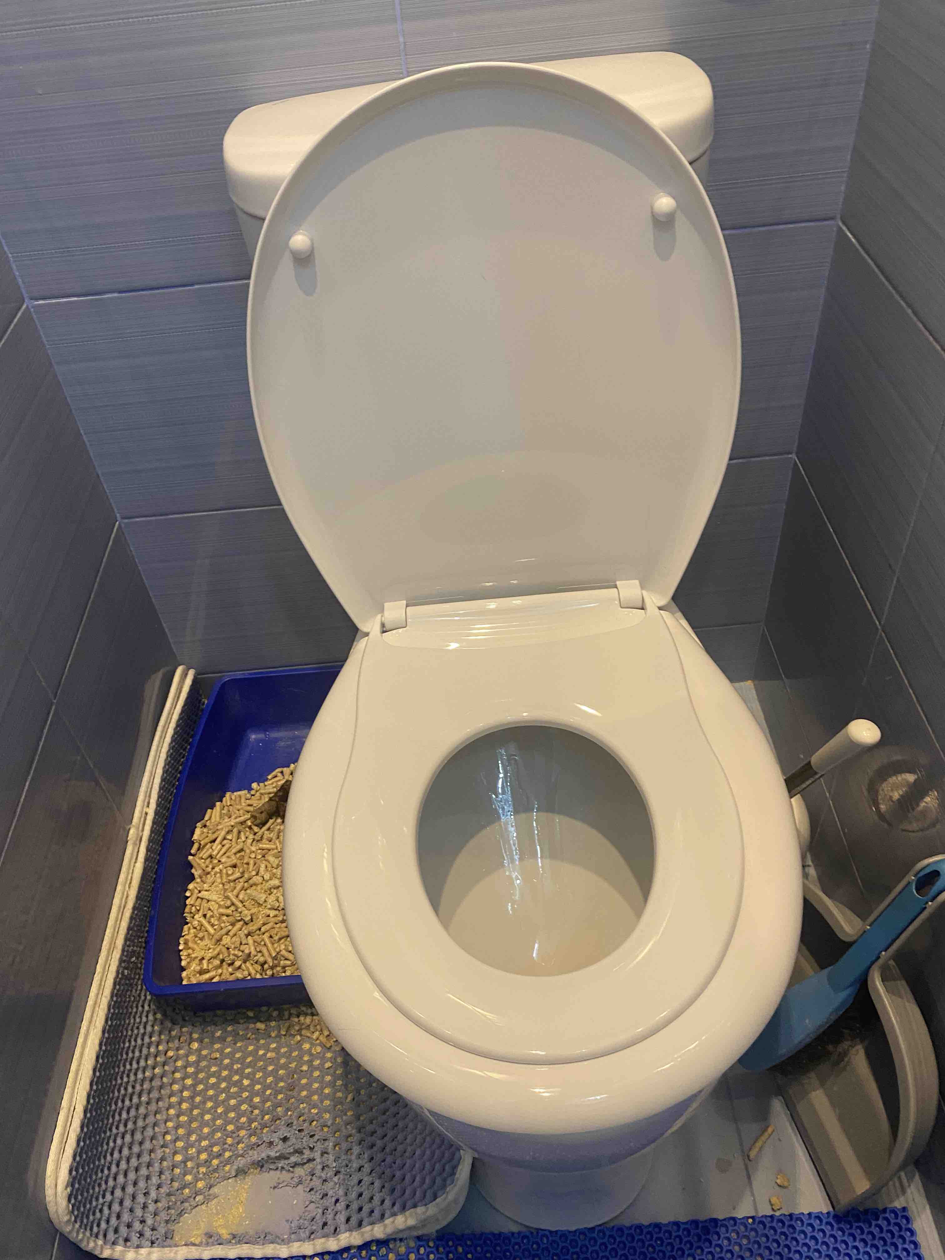 Сиденье для унитаза \"Уклад\" СУ 80C.09.80 СЕМЕЙНОЕ, с детской накладкой ...