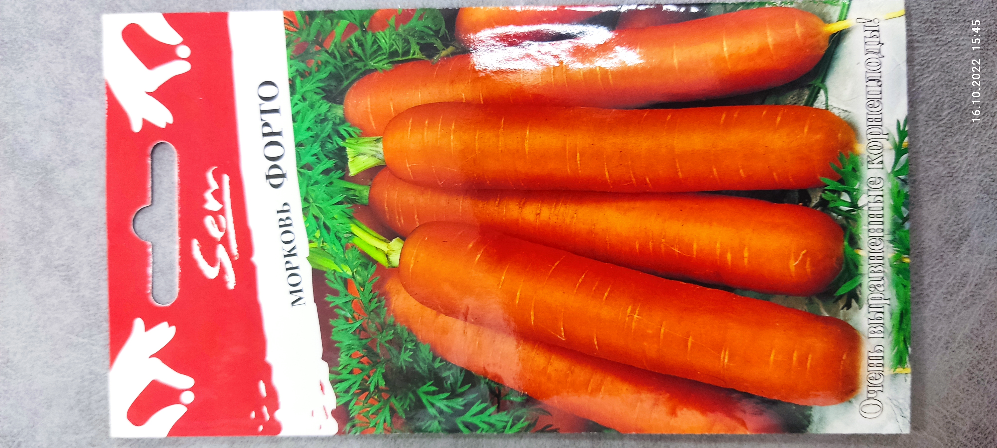 Морковь Форто описание сорта, фото, отзывы, посадка и уход