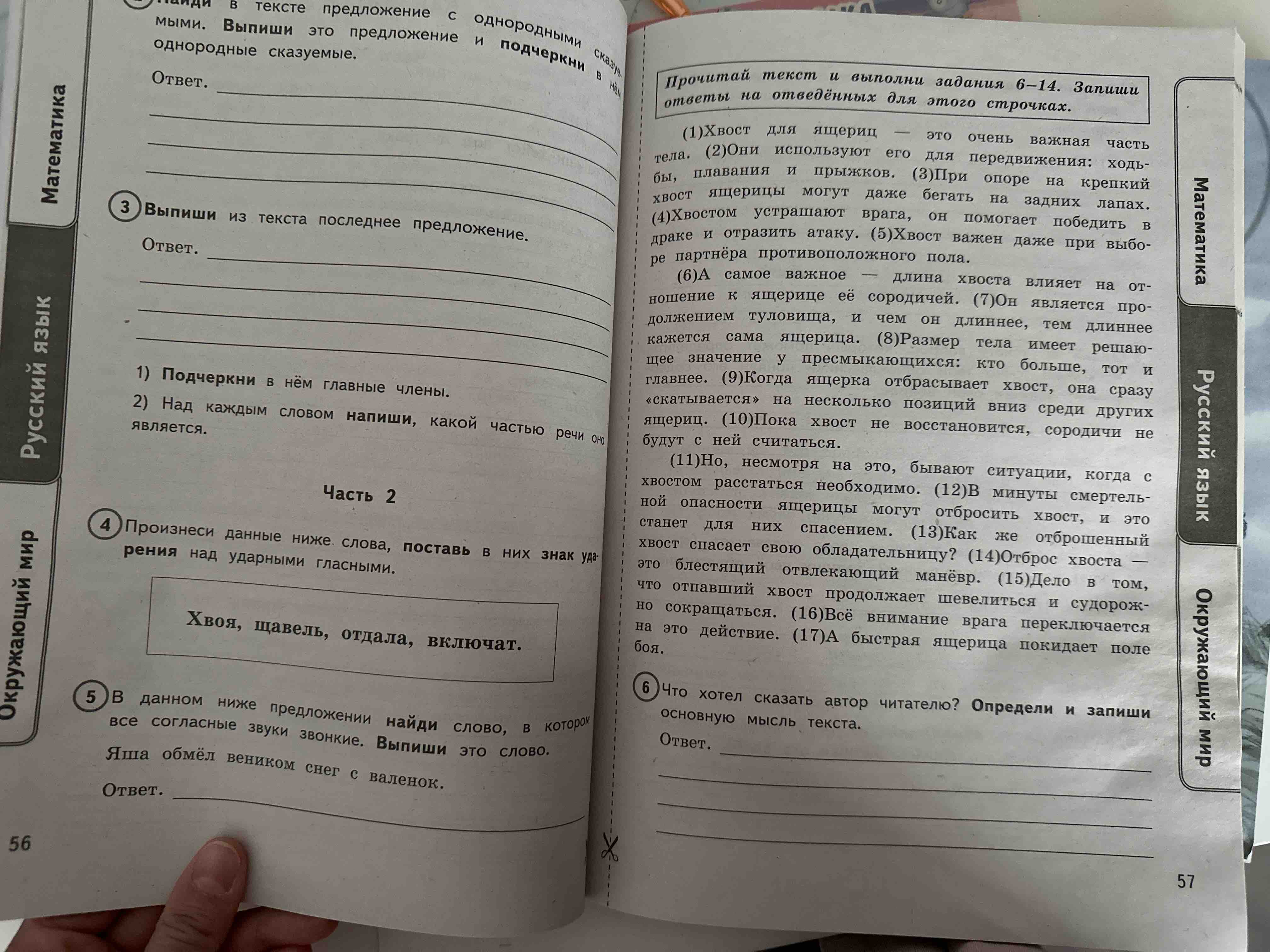 ВПР Математика Русский язык Окружающий мир 4 класс Типовые задания 24  варианта ФГОС – купить в Москве, цены в интернет-магазинах на Мегамаркет