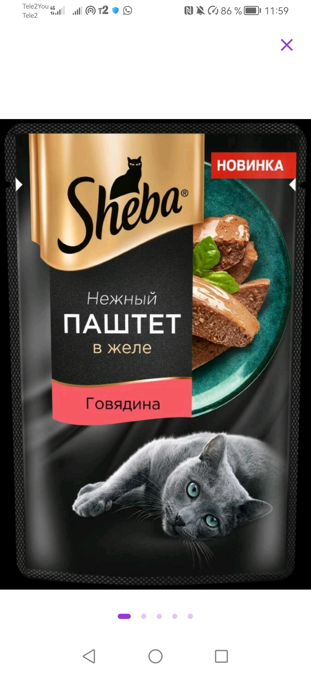 Влажный корм для кошек Sheba Нежный паштет в желе с говядиной, 75 г -  отзывы покупателей на маркетплейсе Мегамаркет | Артикул товара:100051626557